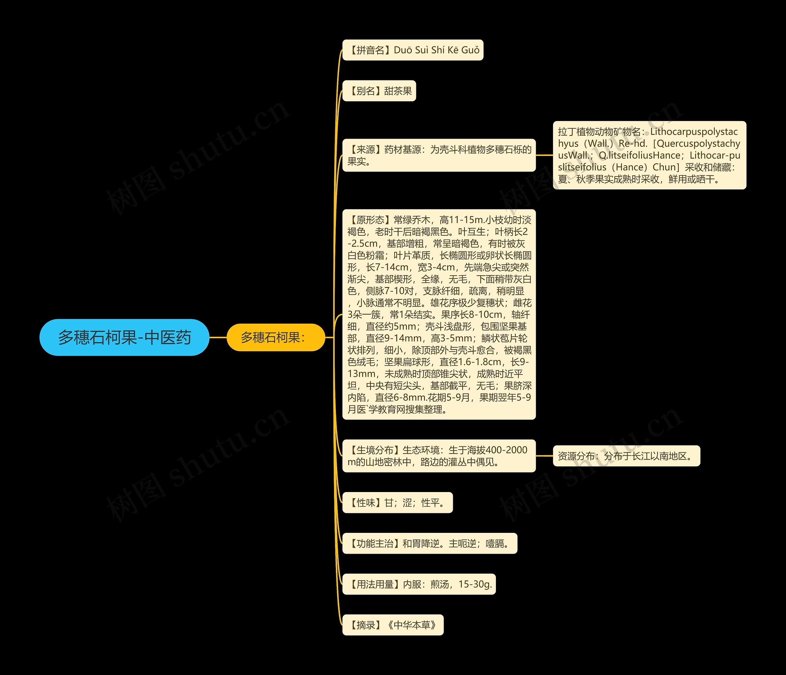多穗石柯果-中医药思维导图