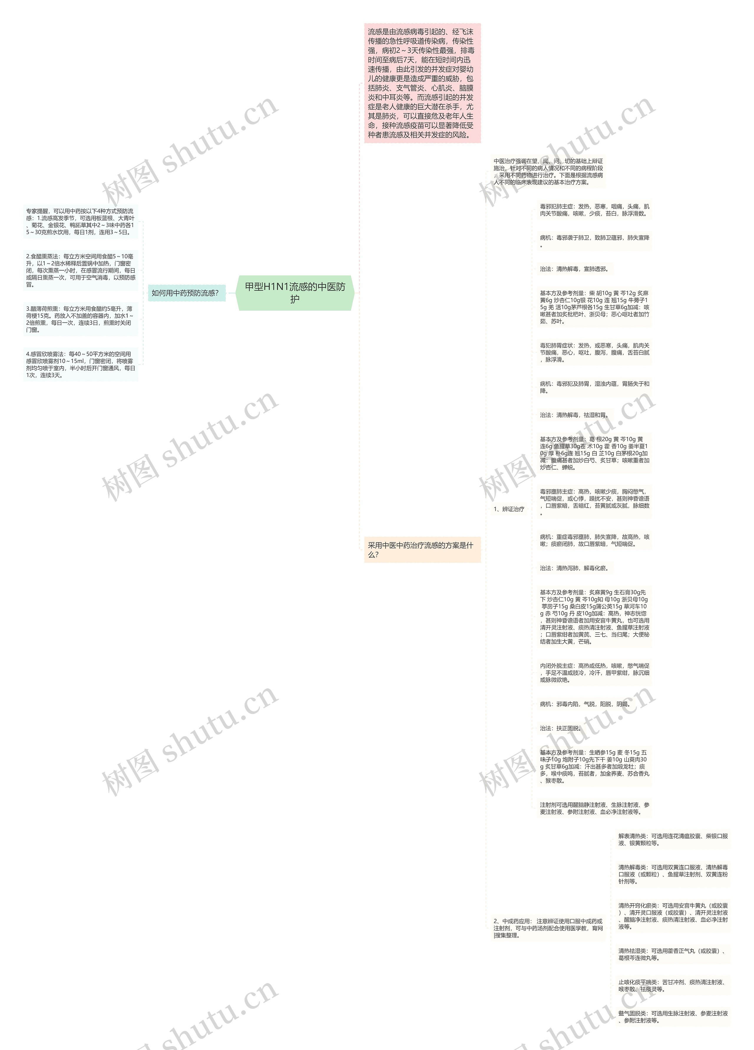 甲型H1N1流感的中医防护思维导图