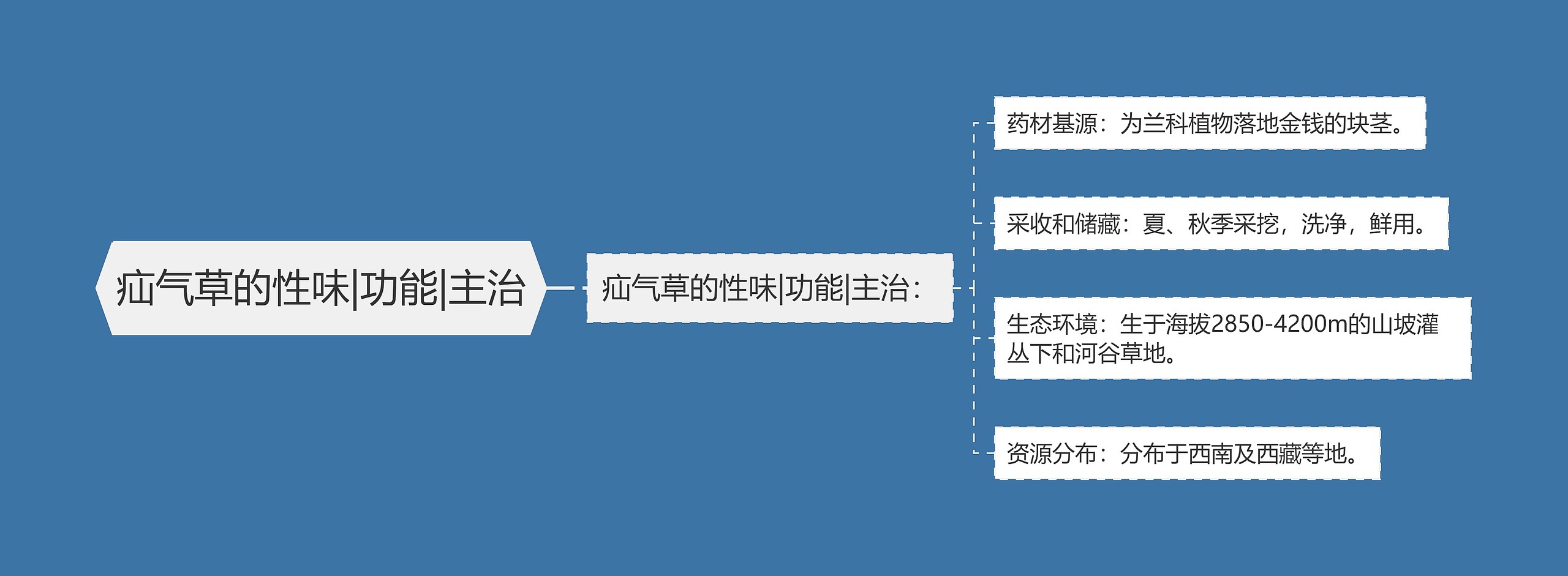 疝气草的性味|功能|主治 疝气草的性味|功能|主治