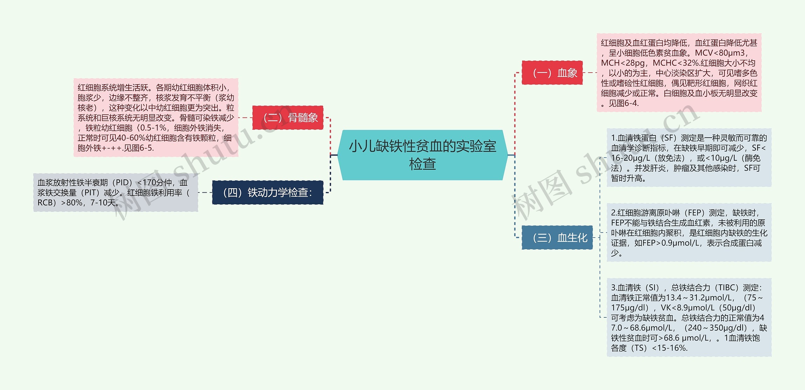 小儿缺铁性贫血的实验室检查