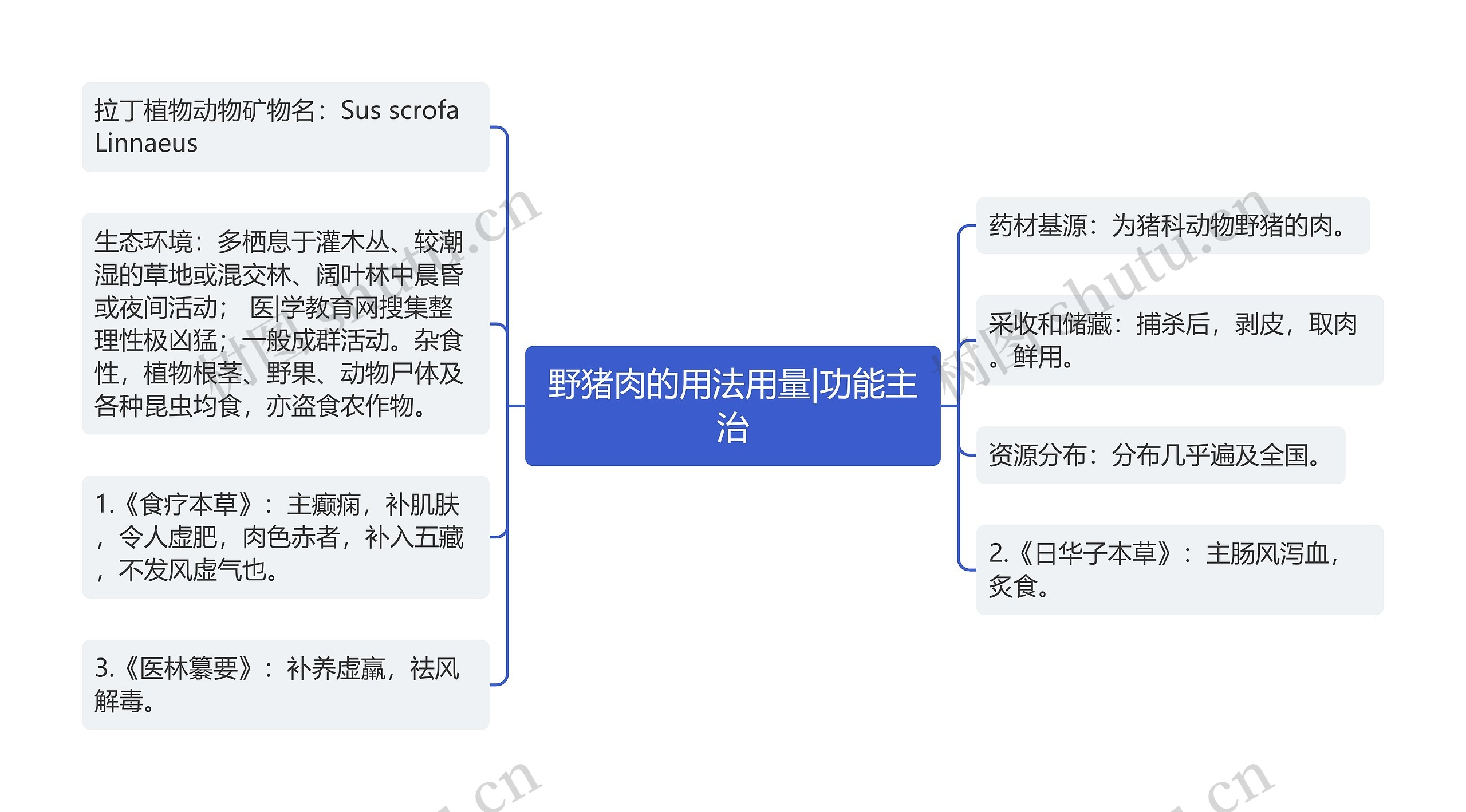 野猪肉的用法用量|功能主治 野猪肉的用法用量|功能主治