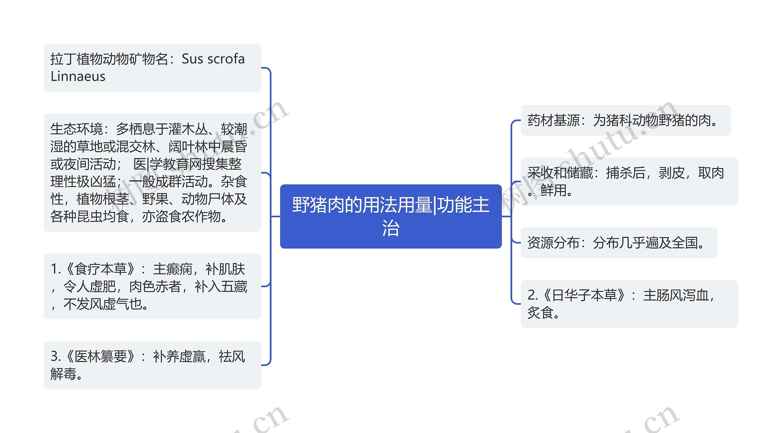 野猪肉的用法用量|功能主治思维导图