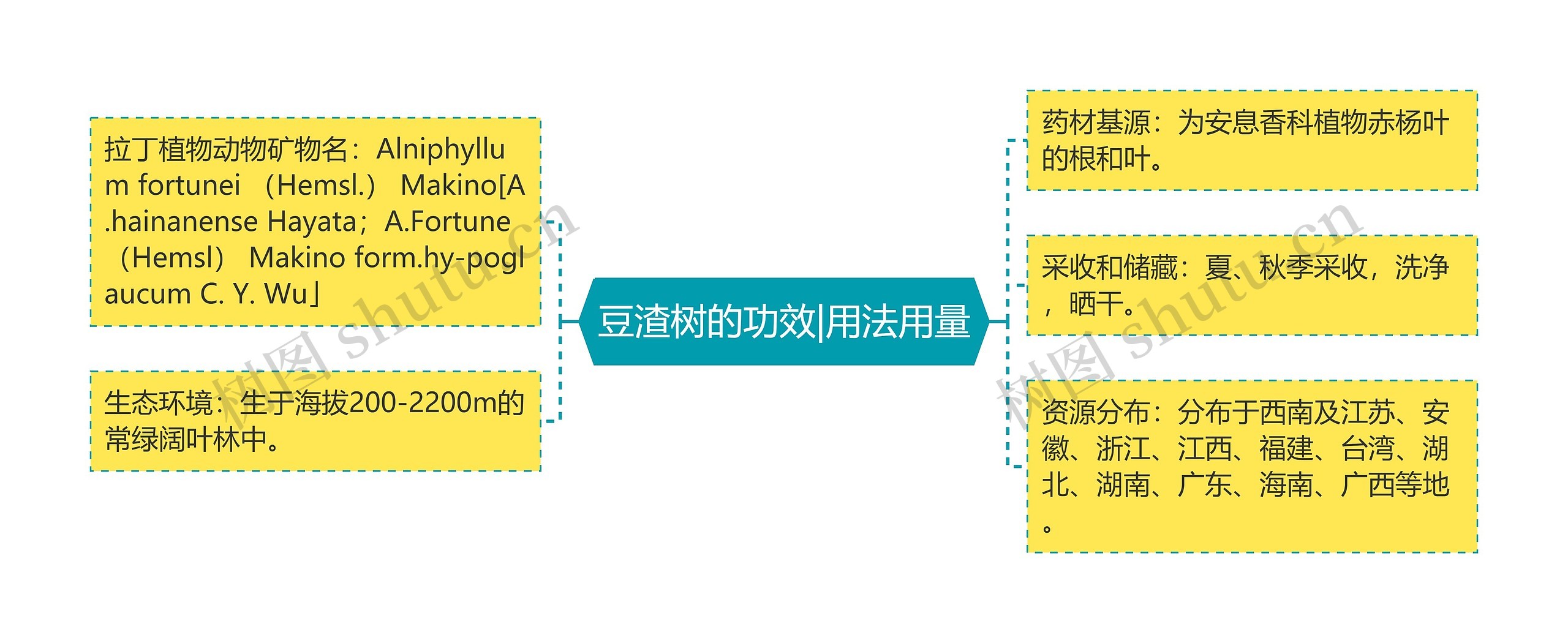 豆渣树的功效|用法用量