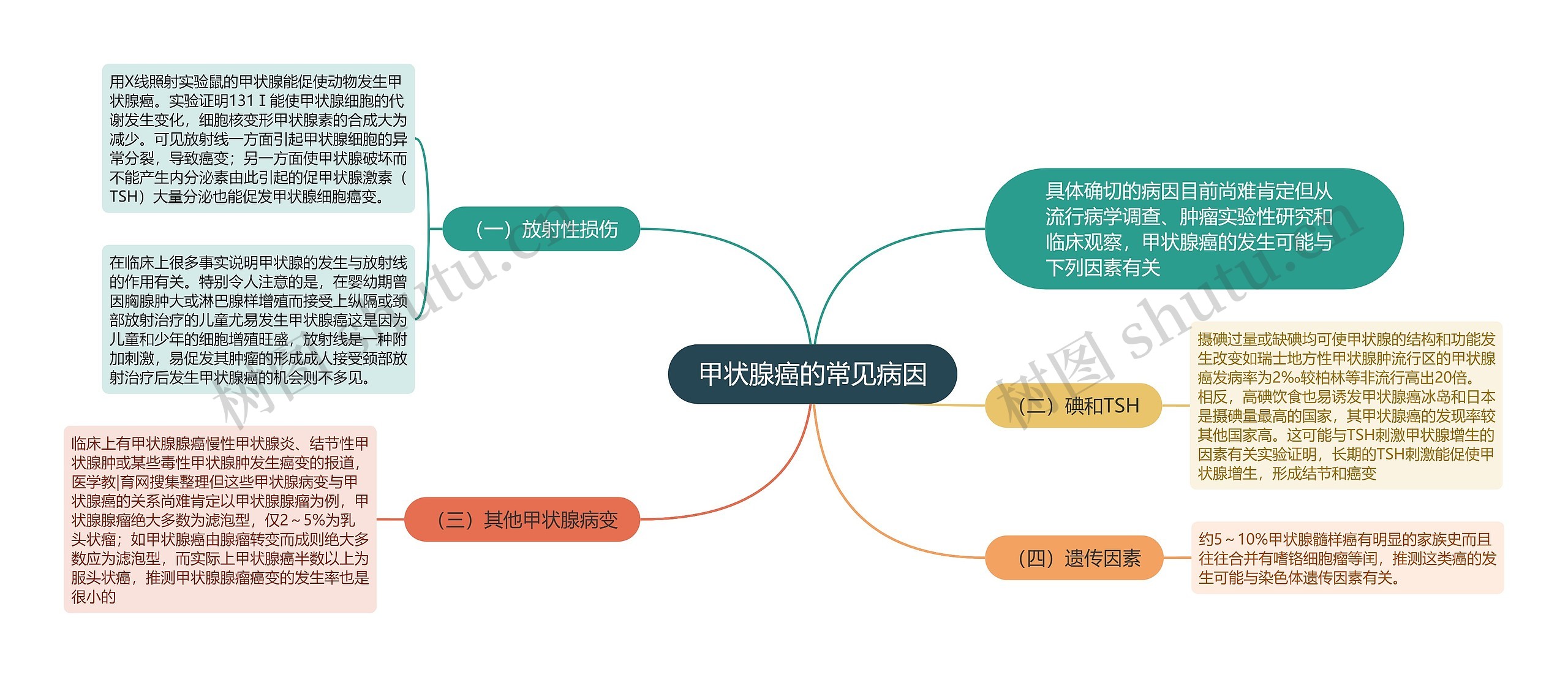 甲状腺癌的常见病因思维导图