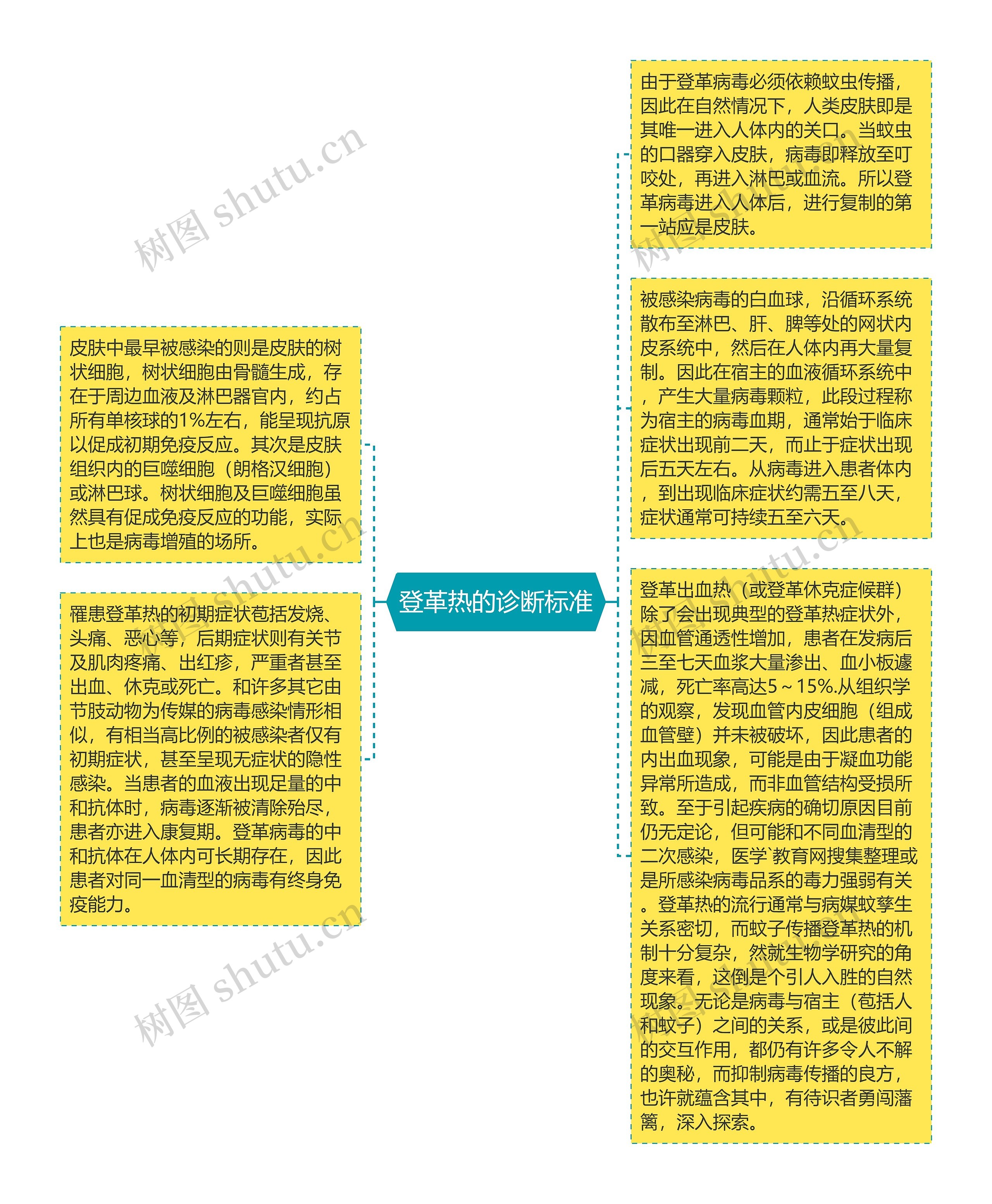 登革热的诊断标准思维导图