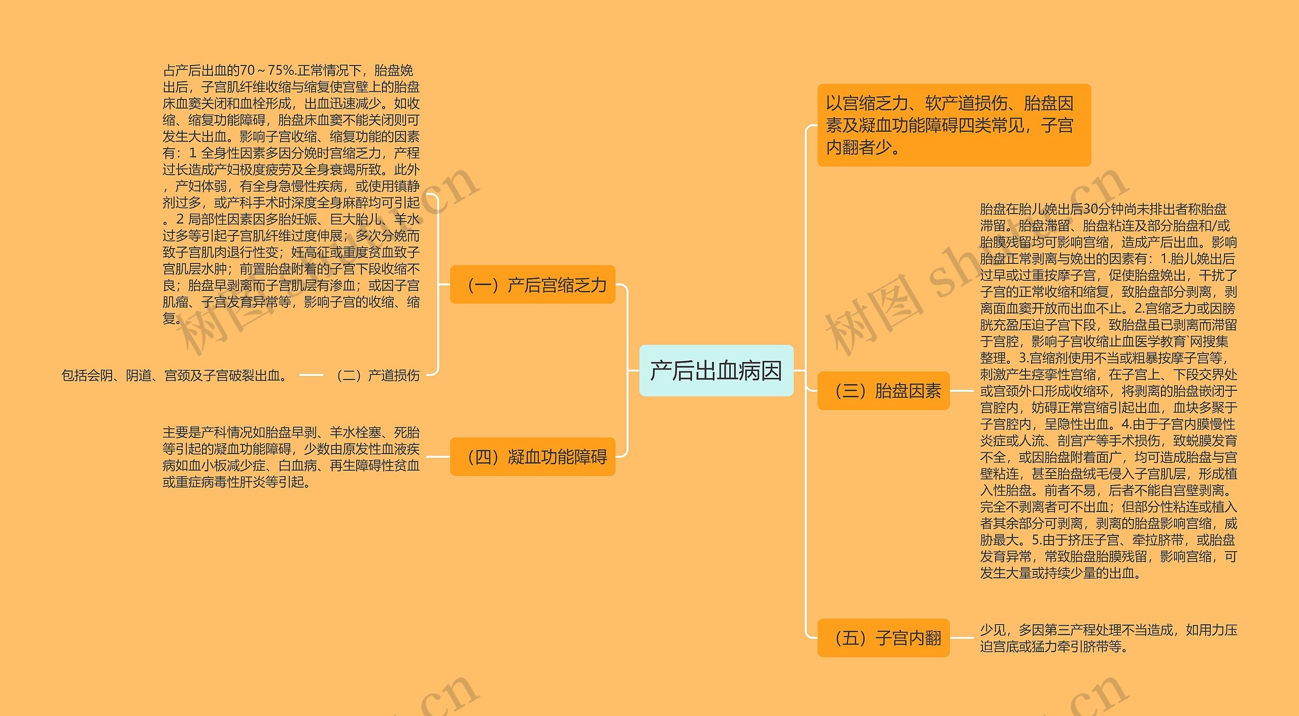 产后出血病因思维导图