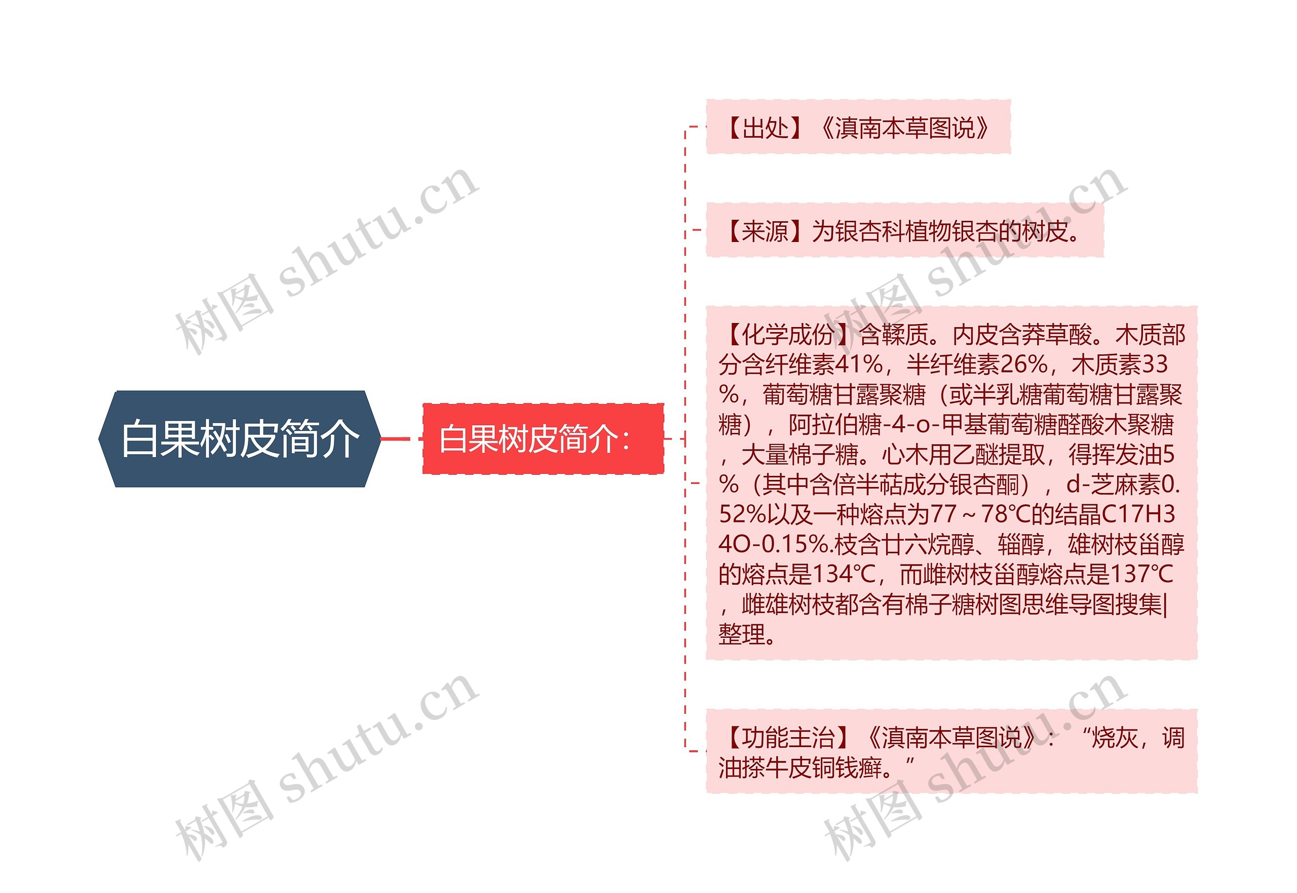 白果树皮简介思维导图