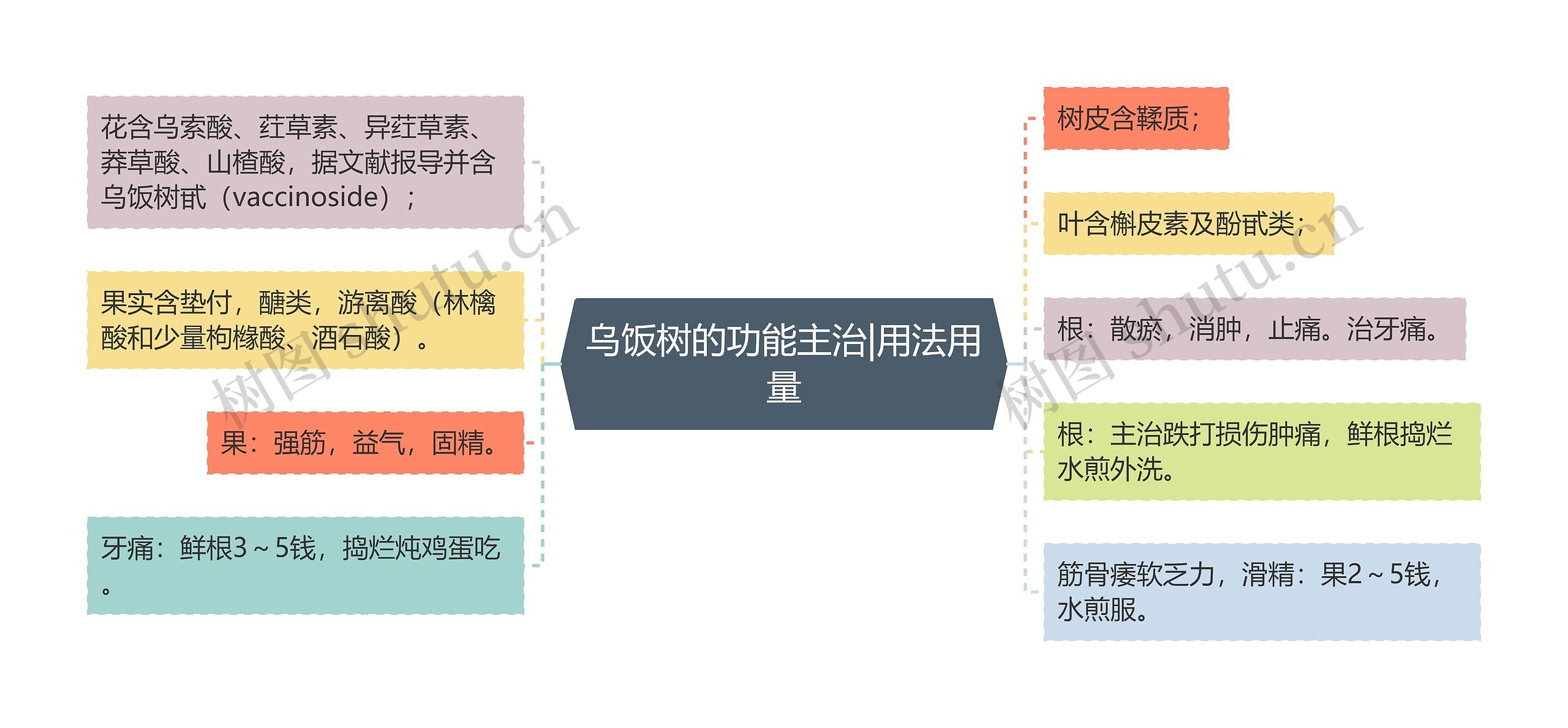 乌饭树的功能主治|用法用量