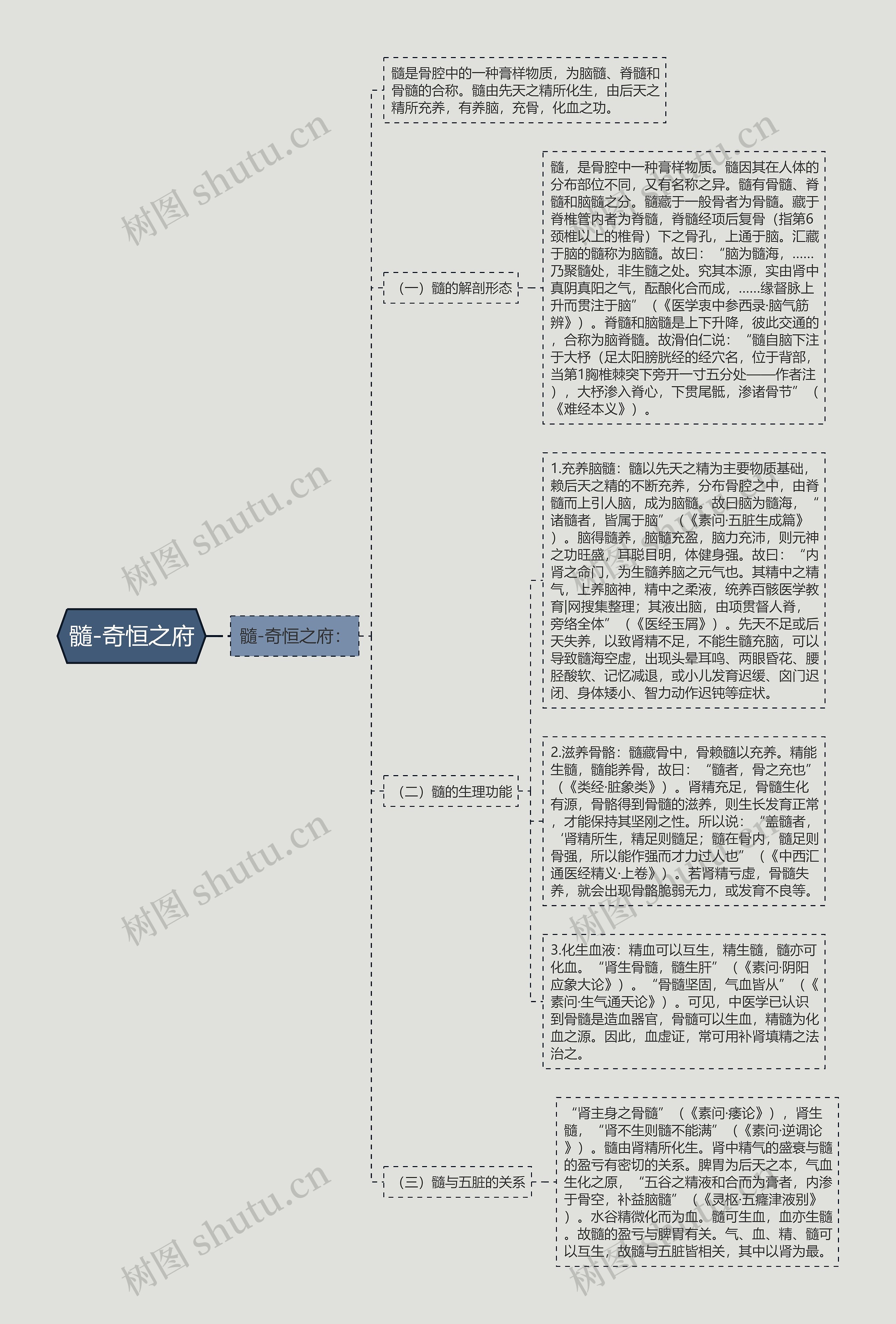 髓-奇恒之府思维导图