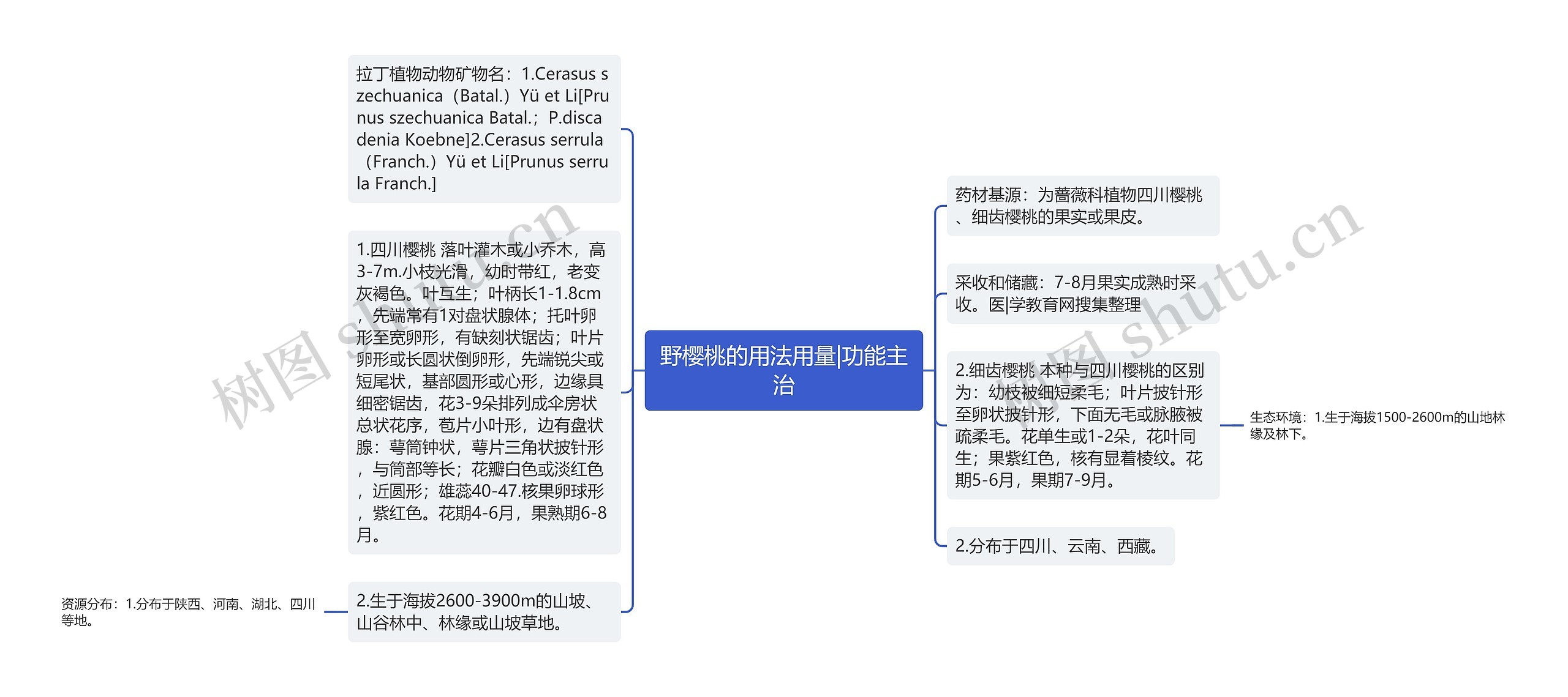 野樱桃的用法用量|功能主治