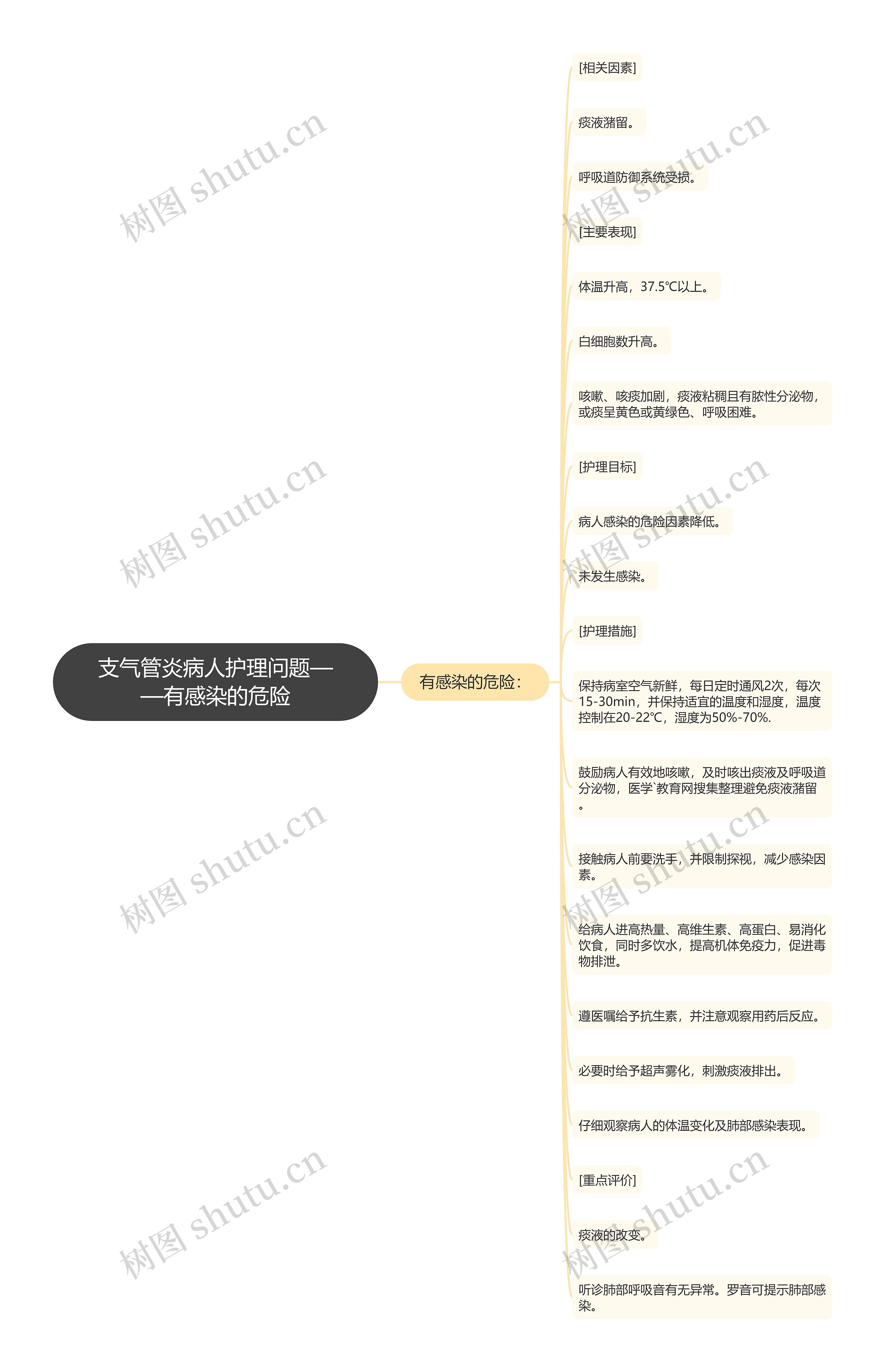 支气管炎病人护理问题——有感染的危险思维导图