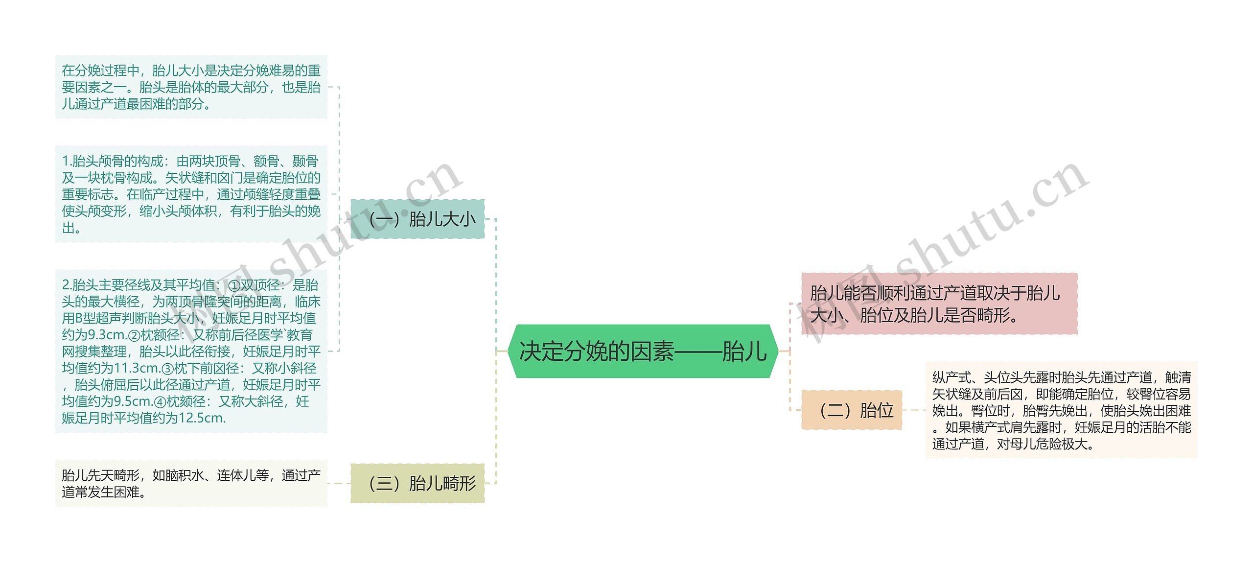 决定分娩的因素——胎儿