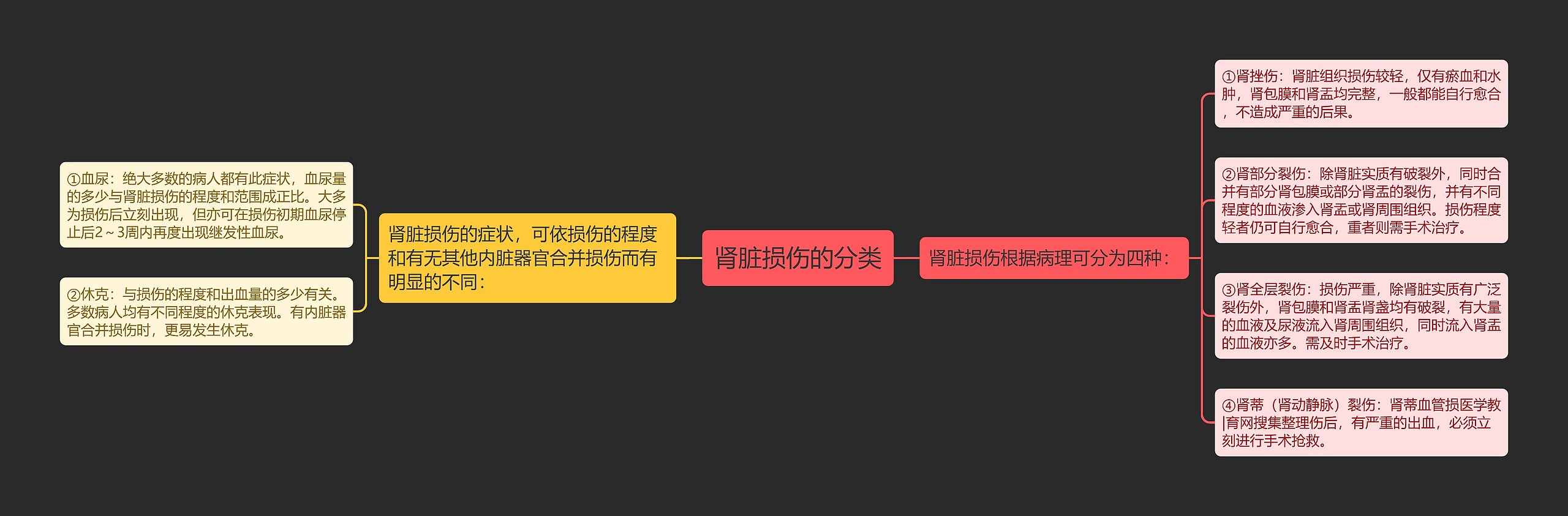 肾脏损伤的分类 肾脏损伤的分类