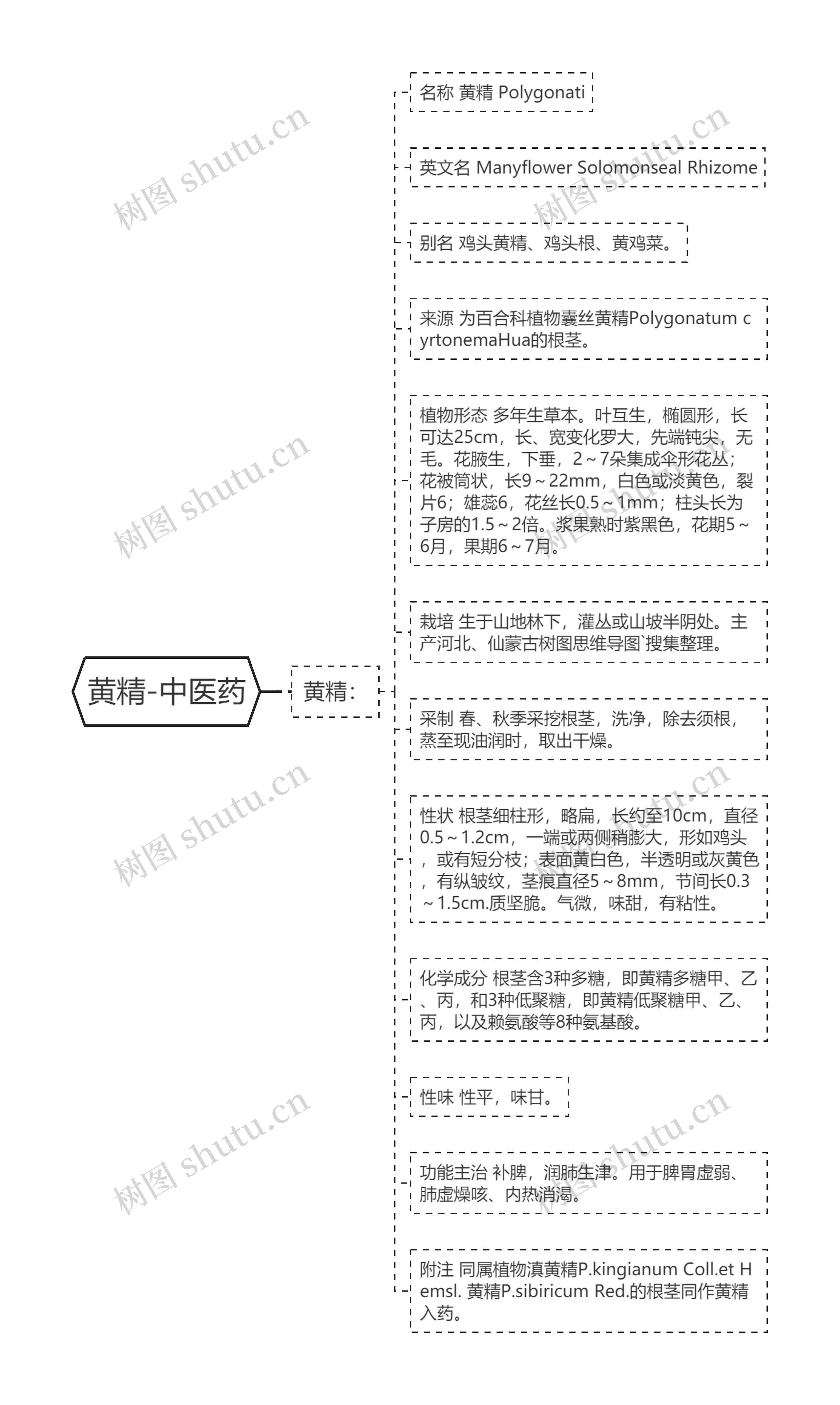 黄精-中医药 黄精-中医药