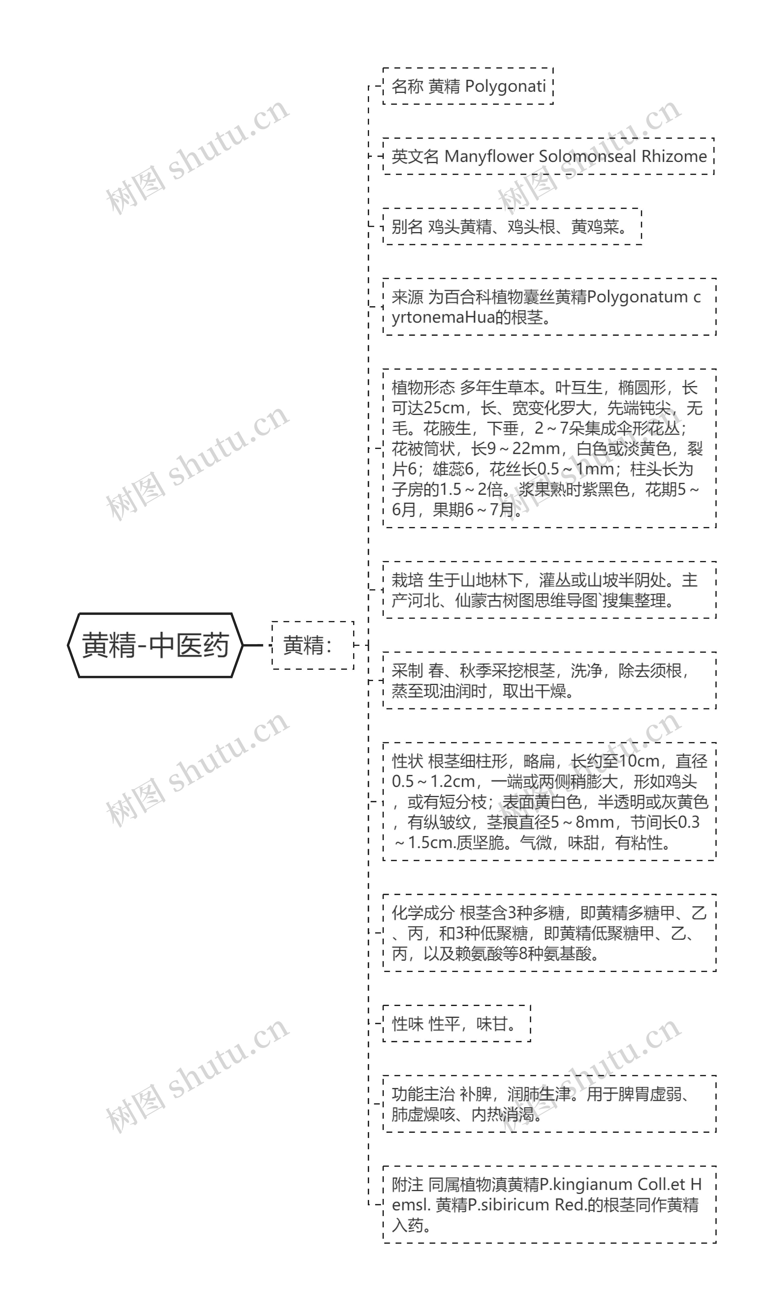 黄精-中医药思维导图