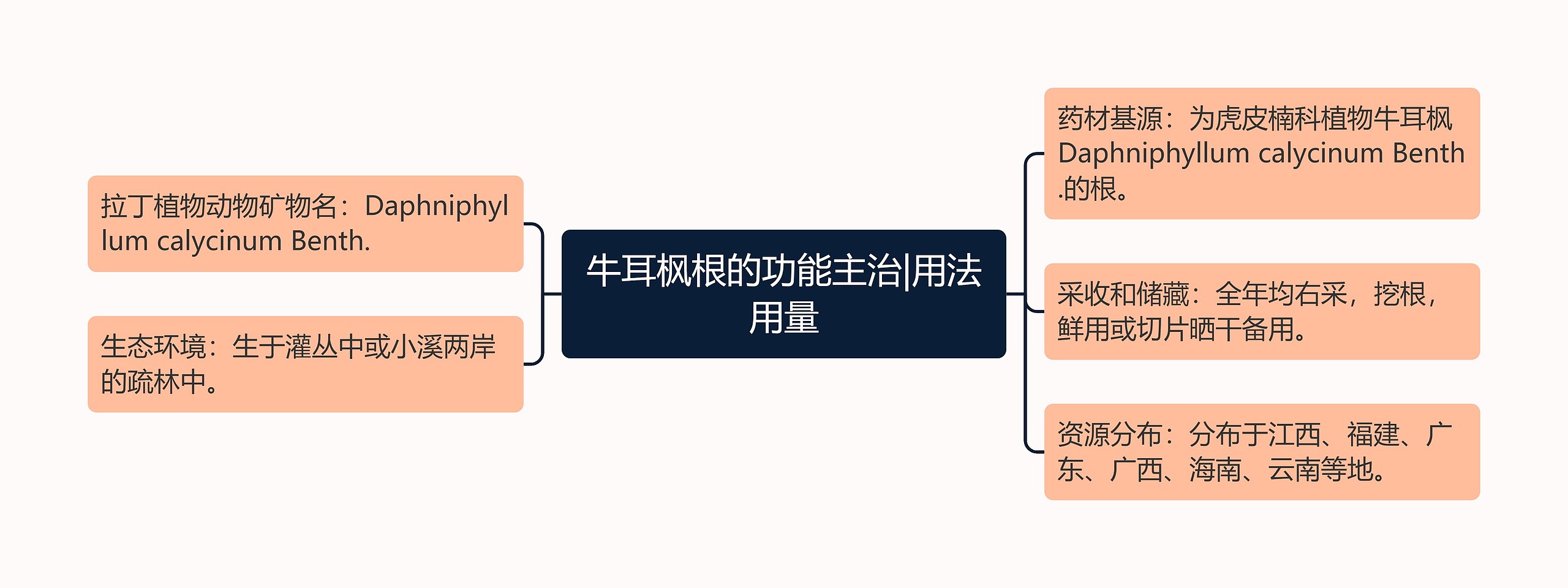 牛耳枫根的功能主治|用法用量思维导图