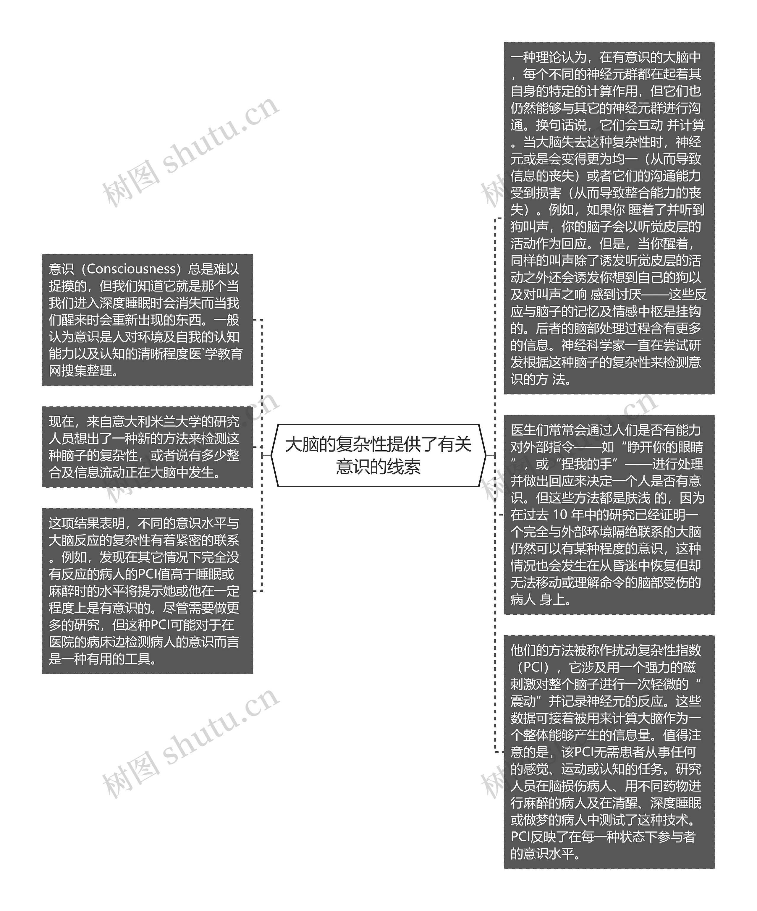 大脑的复杂性提供了有关意识的线索