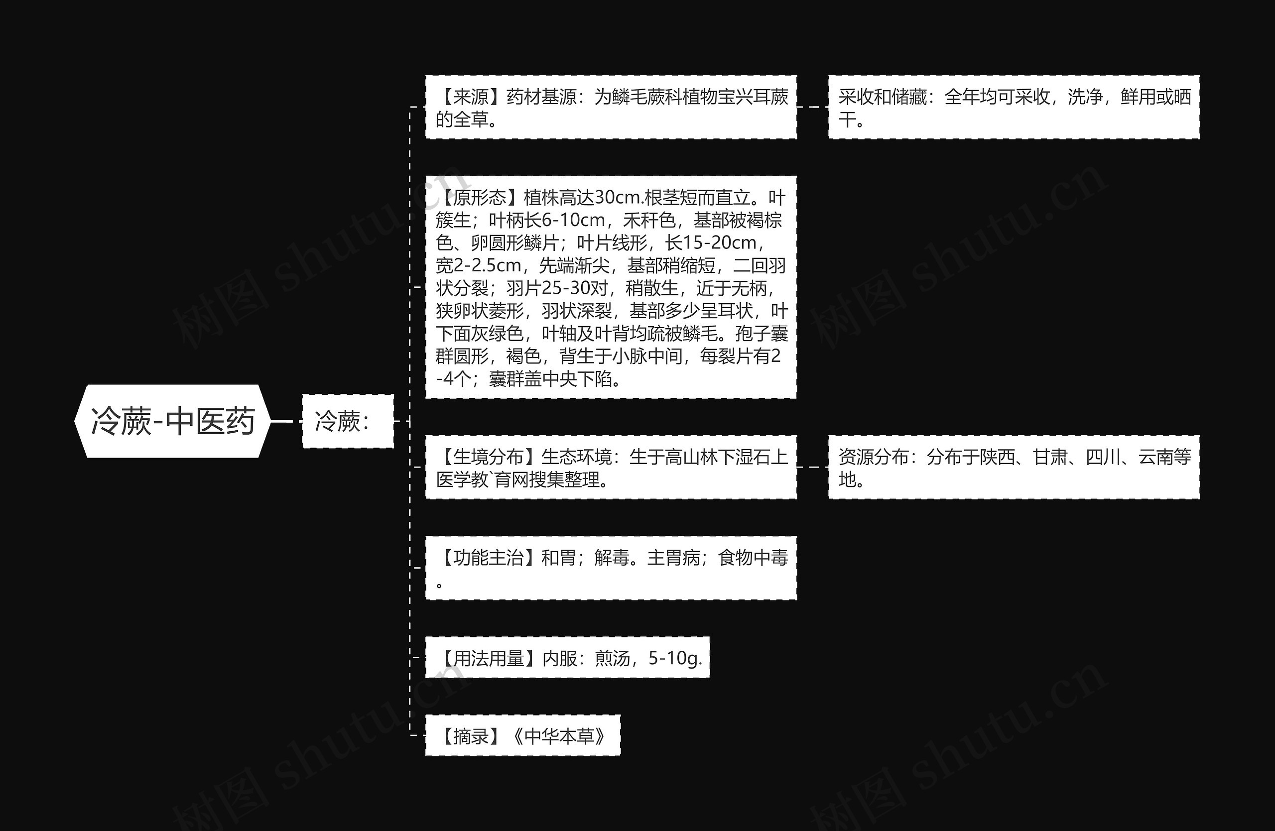 冷蕨-中医药思维导图