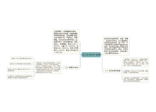 四大生命体征-脉搏