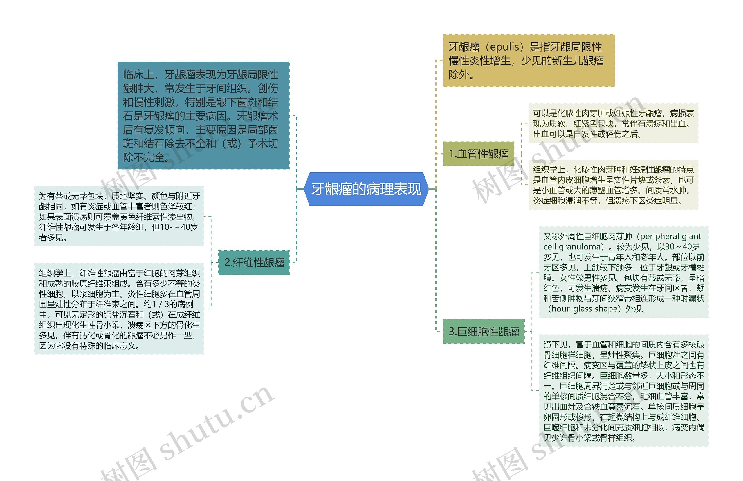 牙龈瘤的病理表现思维导图