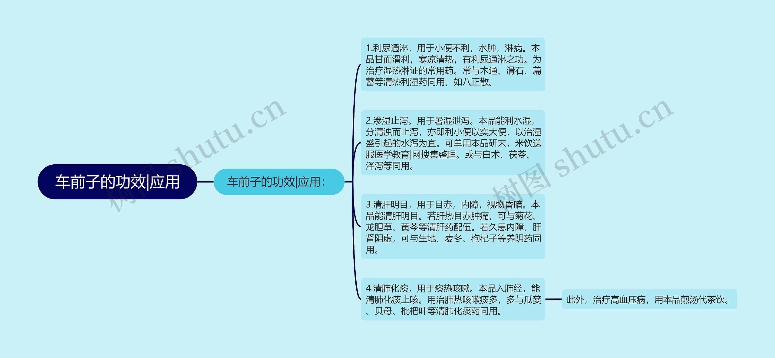 车前子的功效|应用 车前子的功效|应用