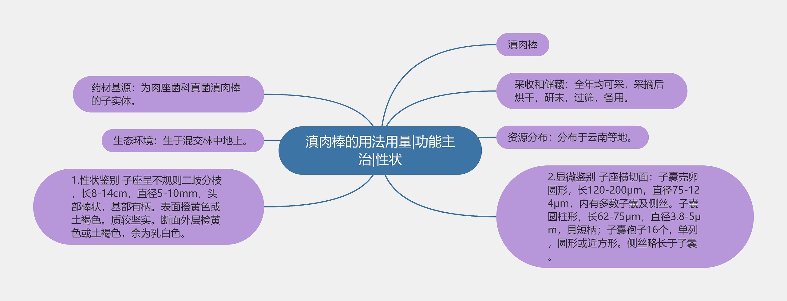 滇肉棒的用法用量|功能主治|性状思维导图