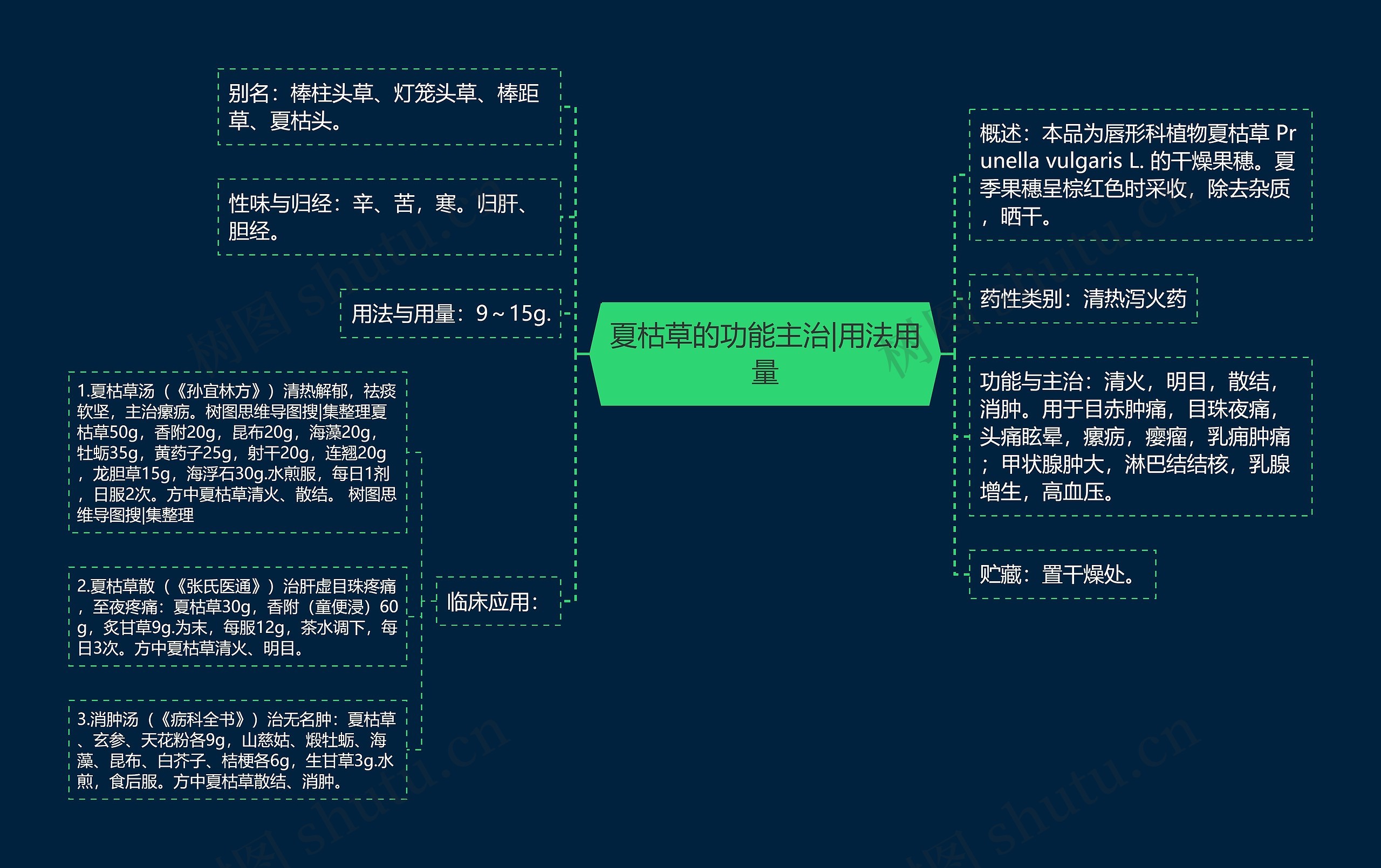 夏枯草的功能主治|用法用量思维导图