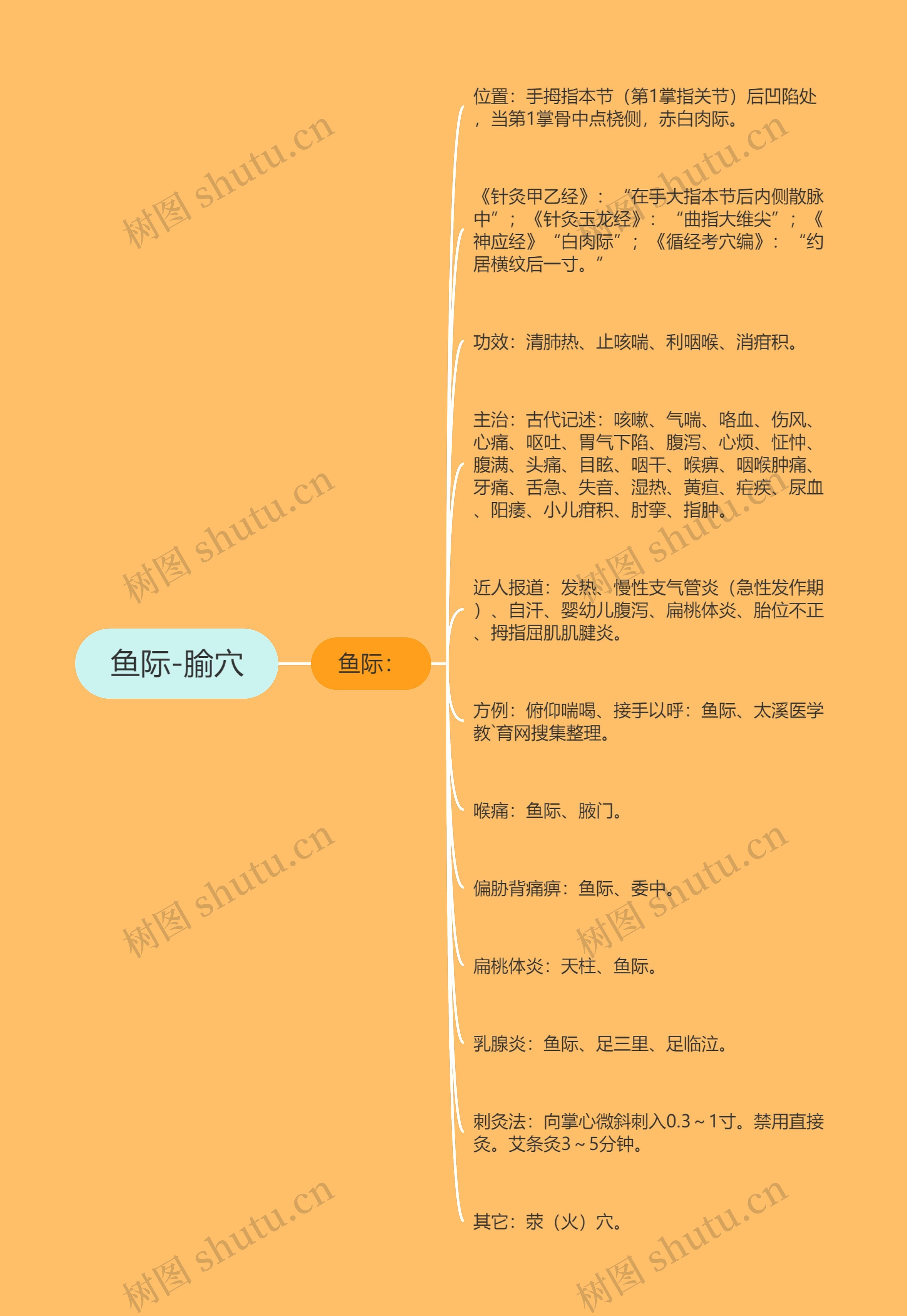 鱼际-腧穴