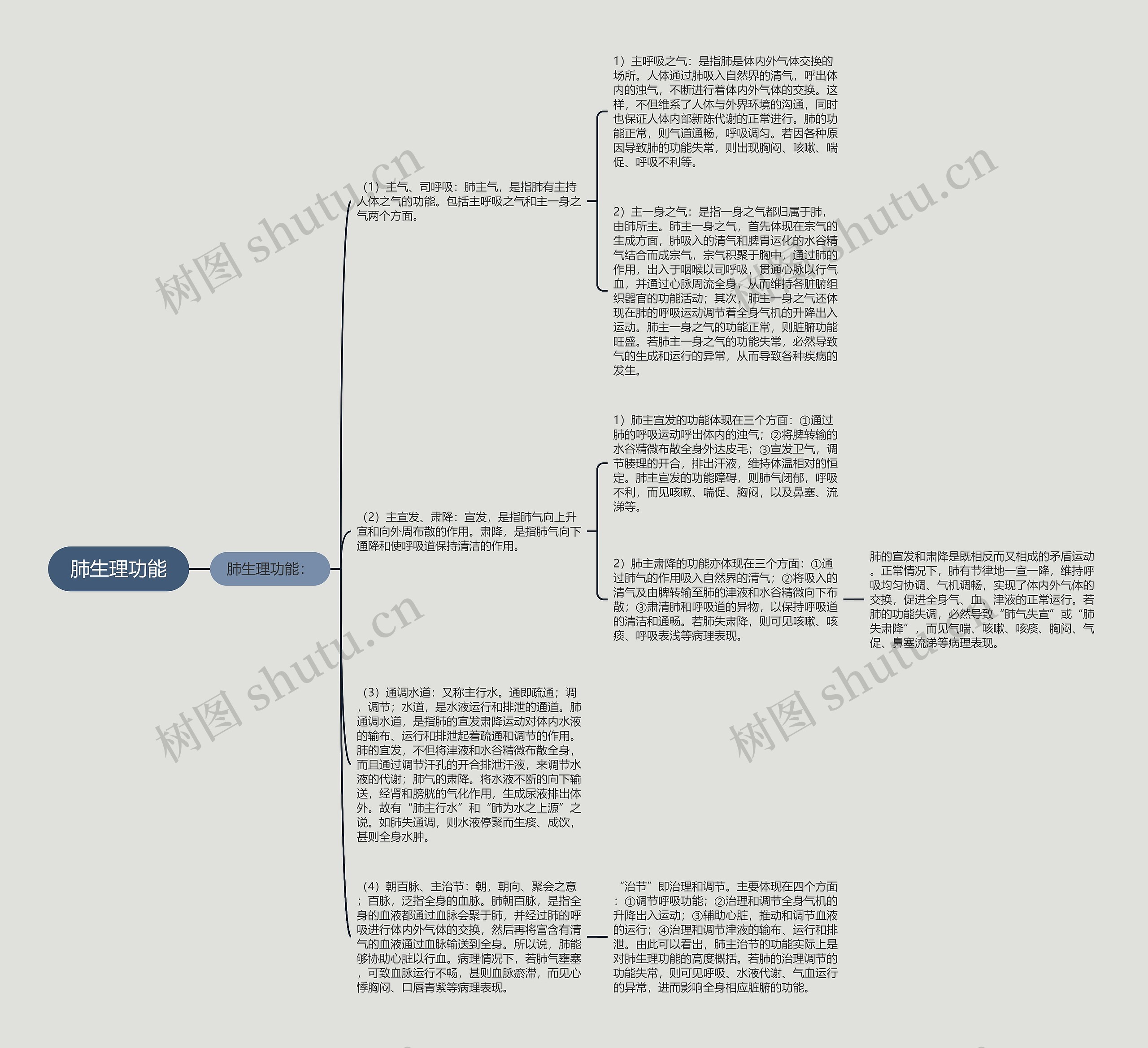 肺生理功能 肺生理功能
