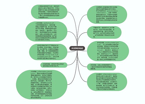 肉芽肿的组成