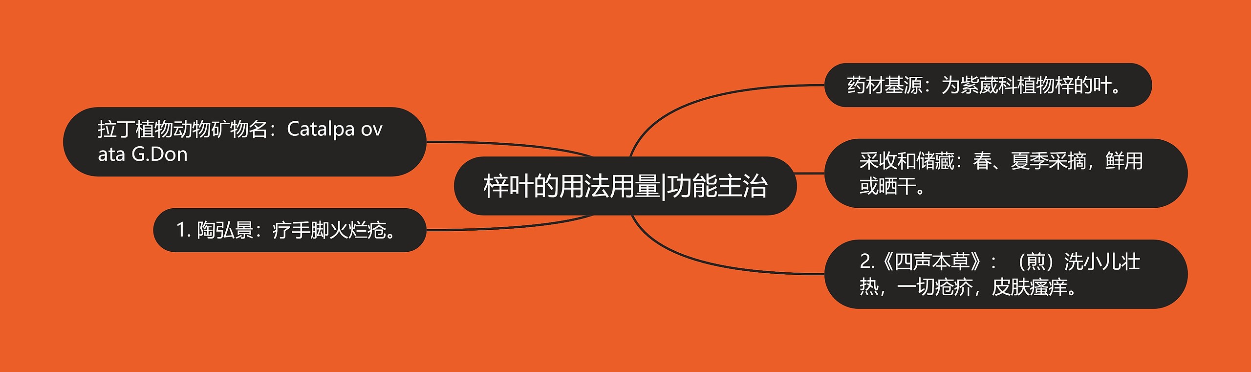 梓叶的用法用量|功能主治 梓叶的用法用量|功能主治