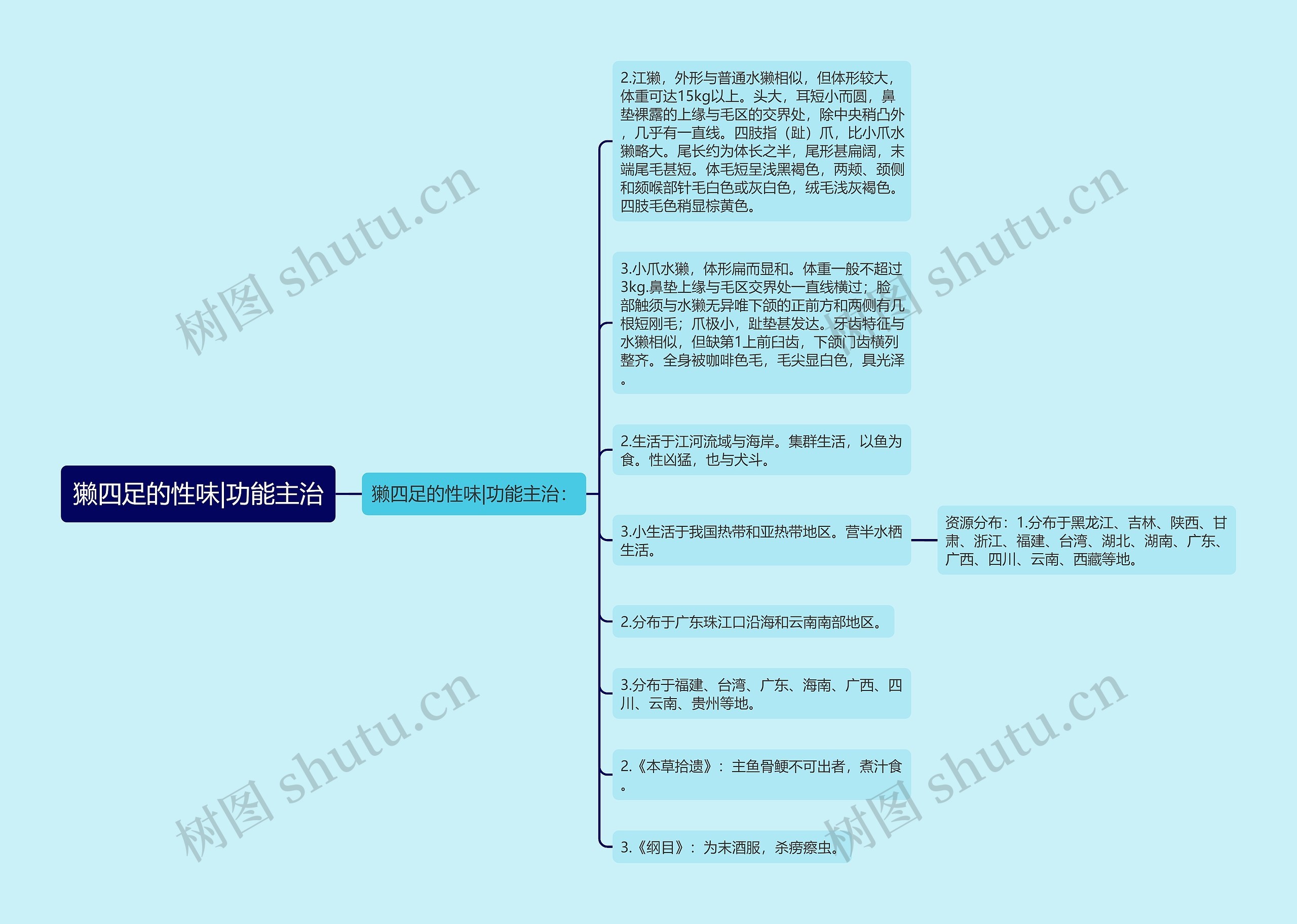 獭四足的性味|功能主治思维导图