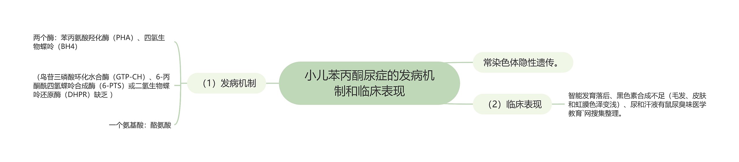 小儿苯丙酮尿症的发病机制和临床表现思维导图