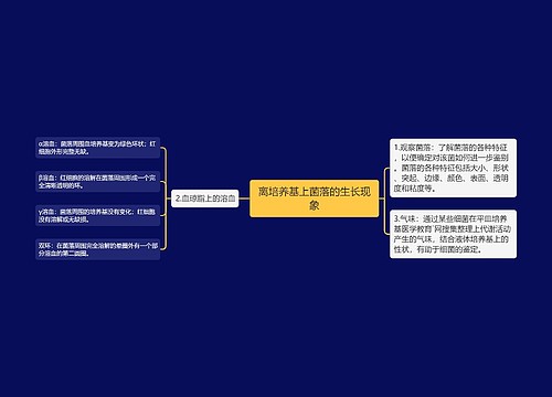 离培养基上菌落的生长现象