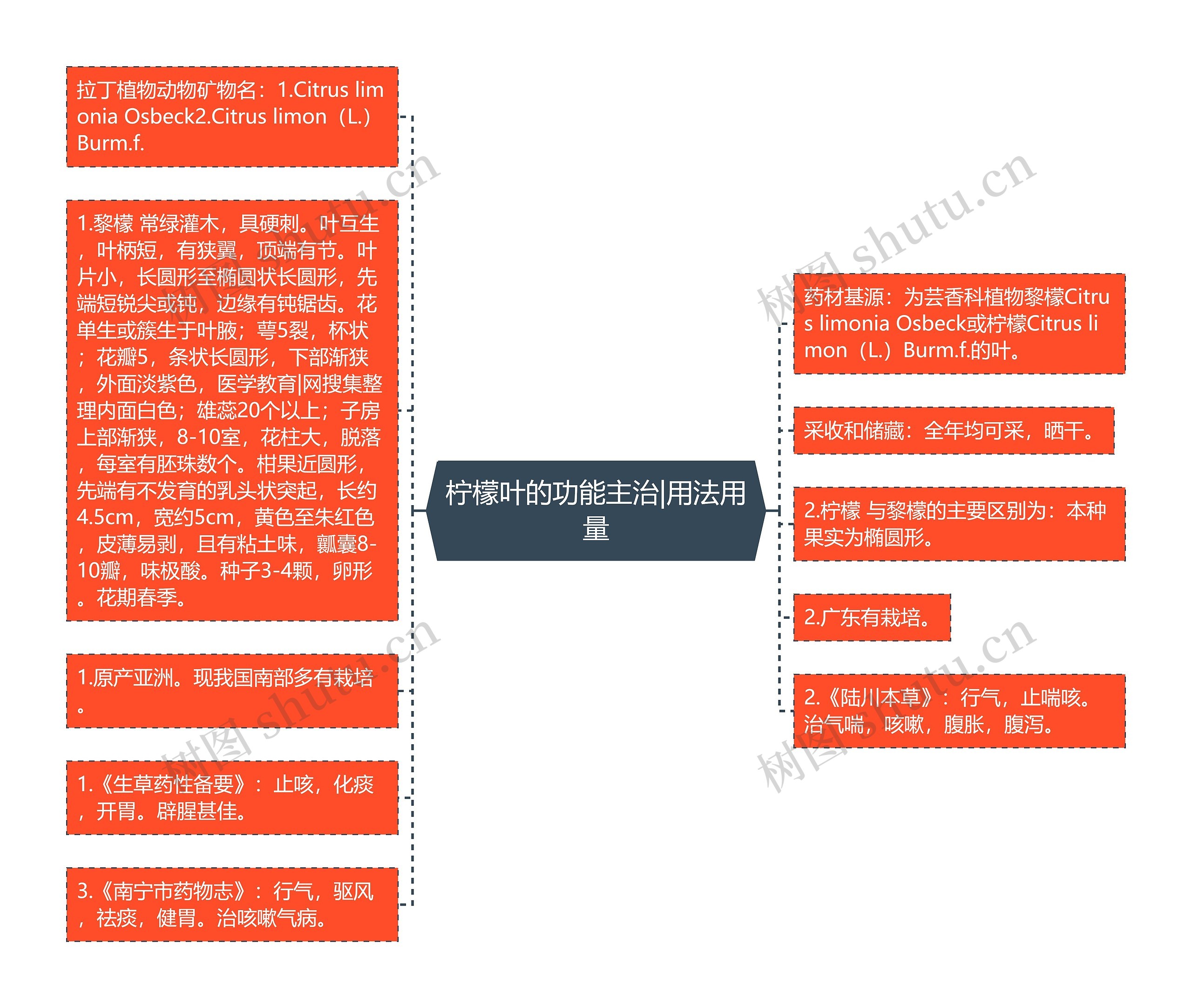 柠檬叶的功能主治|用法用量