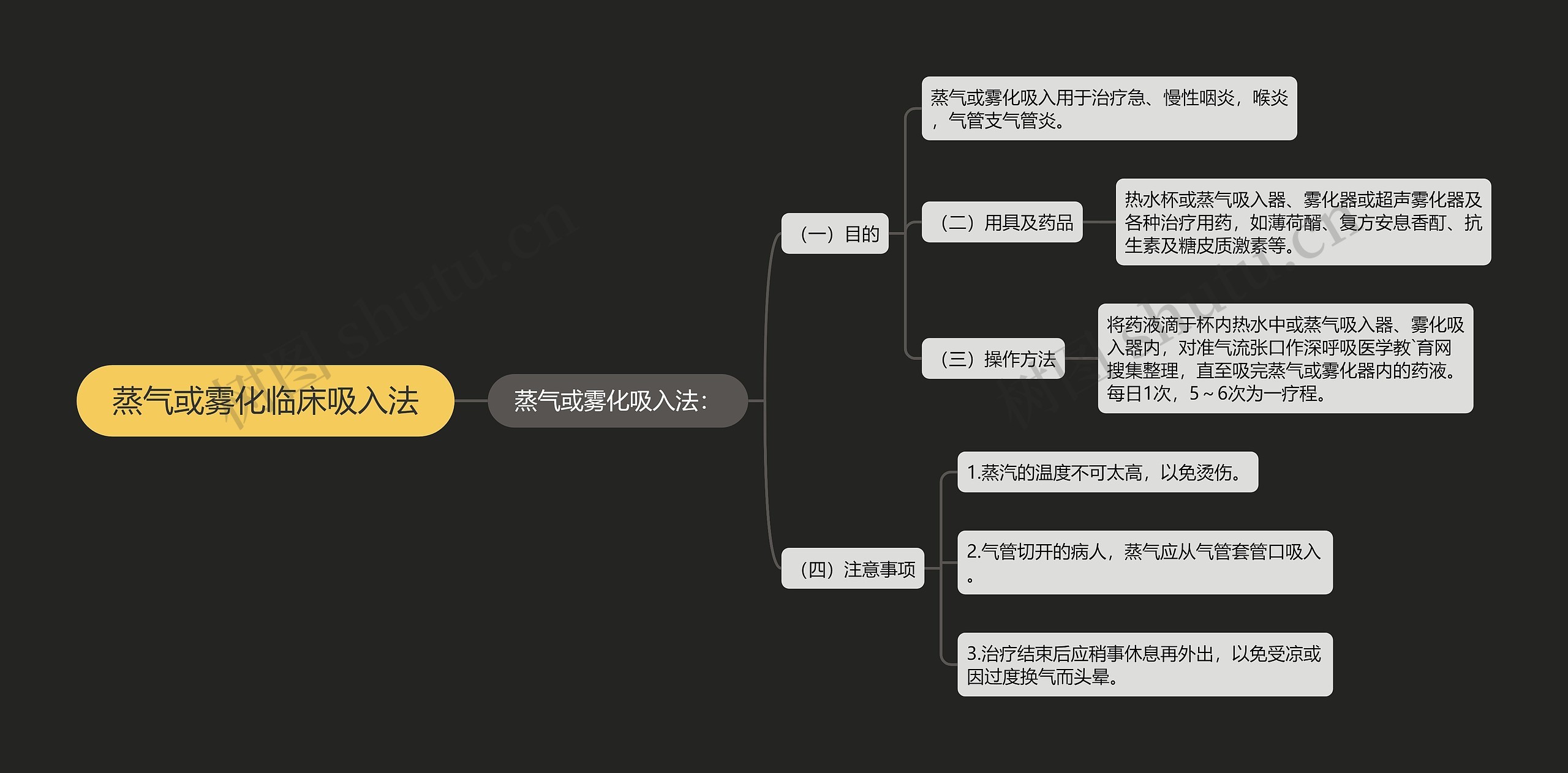 蒸气或雾化临床吸入法