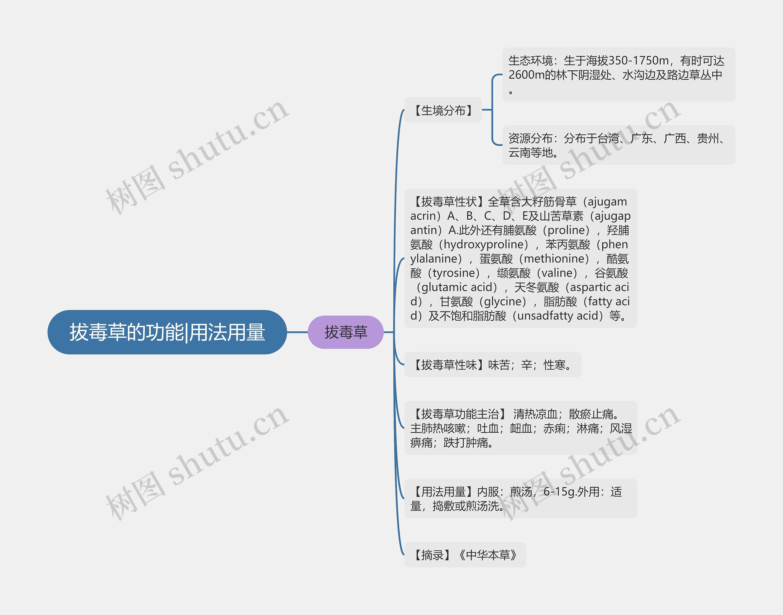 拔毒草的功能|用法用量思维导图