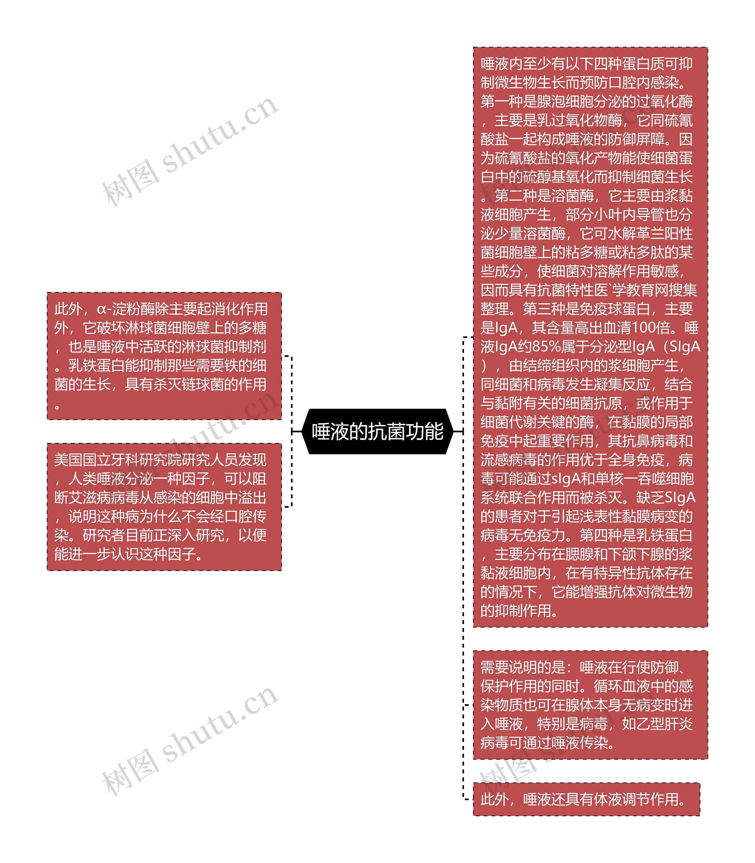 唾液的抗菌功能思维导图