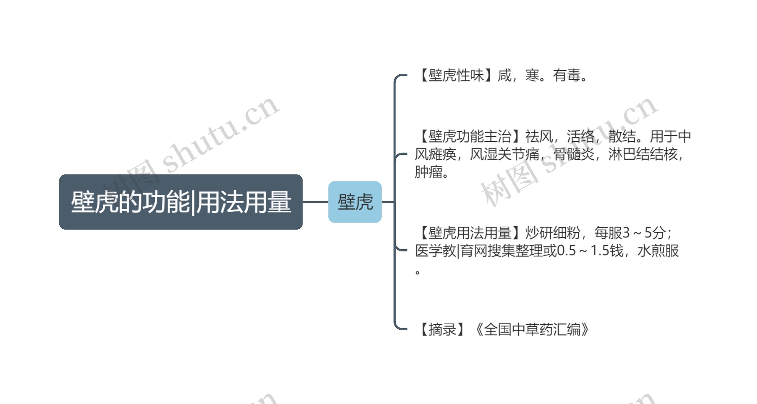 壁虎的功能|用法用量思维导图