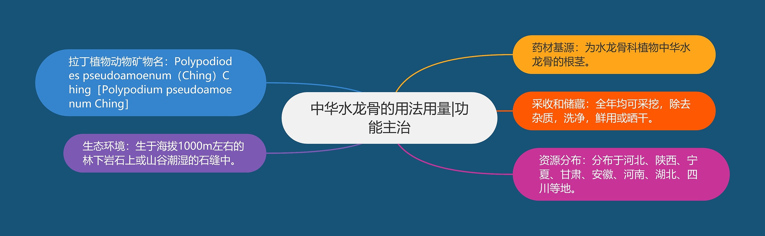 中华水龙骨的用法用量|功能主治 中华水龙骨的用法用量|功能主治