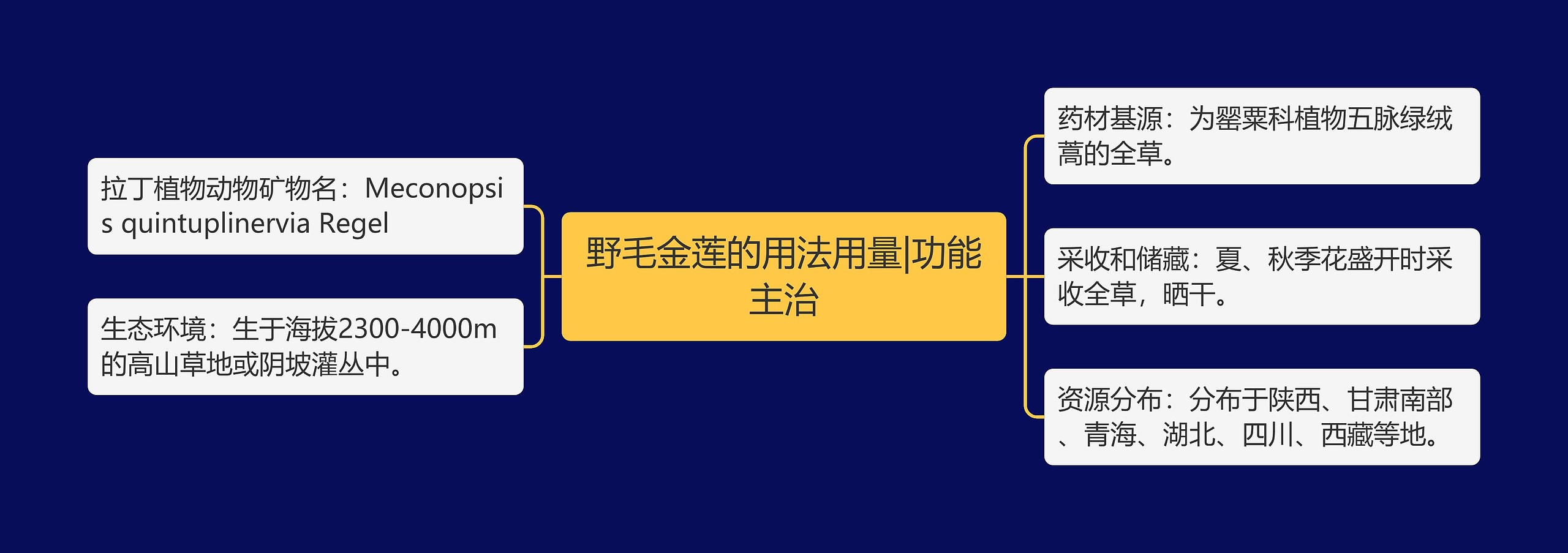 野毛金莲的用法用量|功能主治