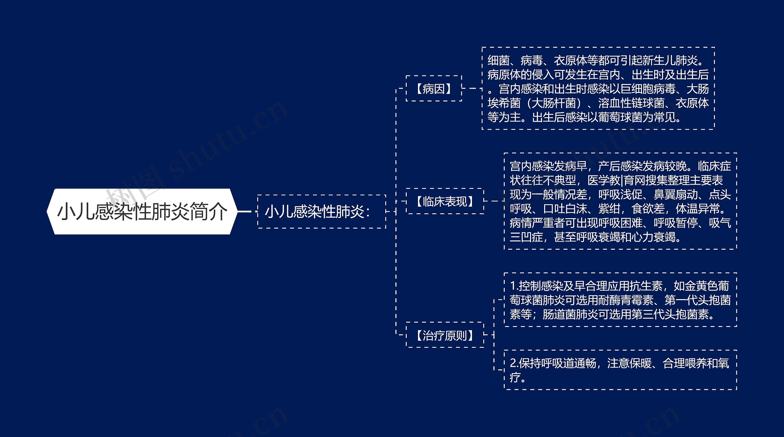 小儿感染性肺炎简介