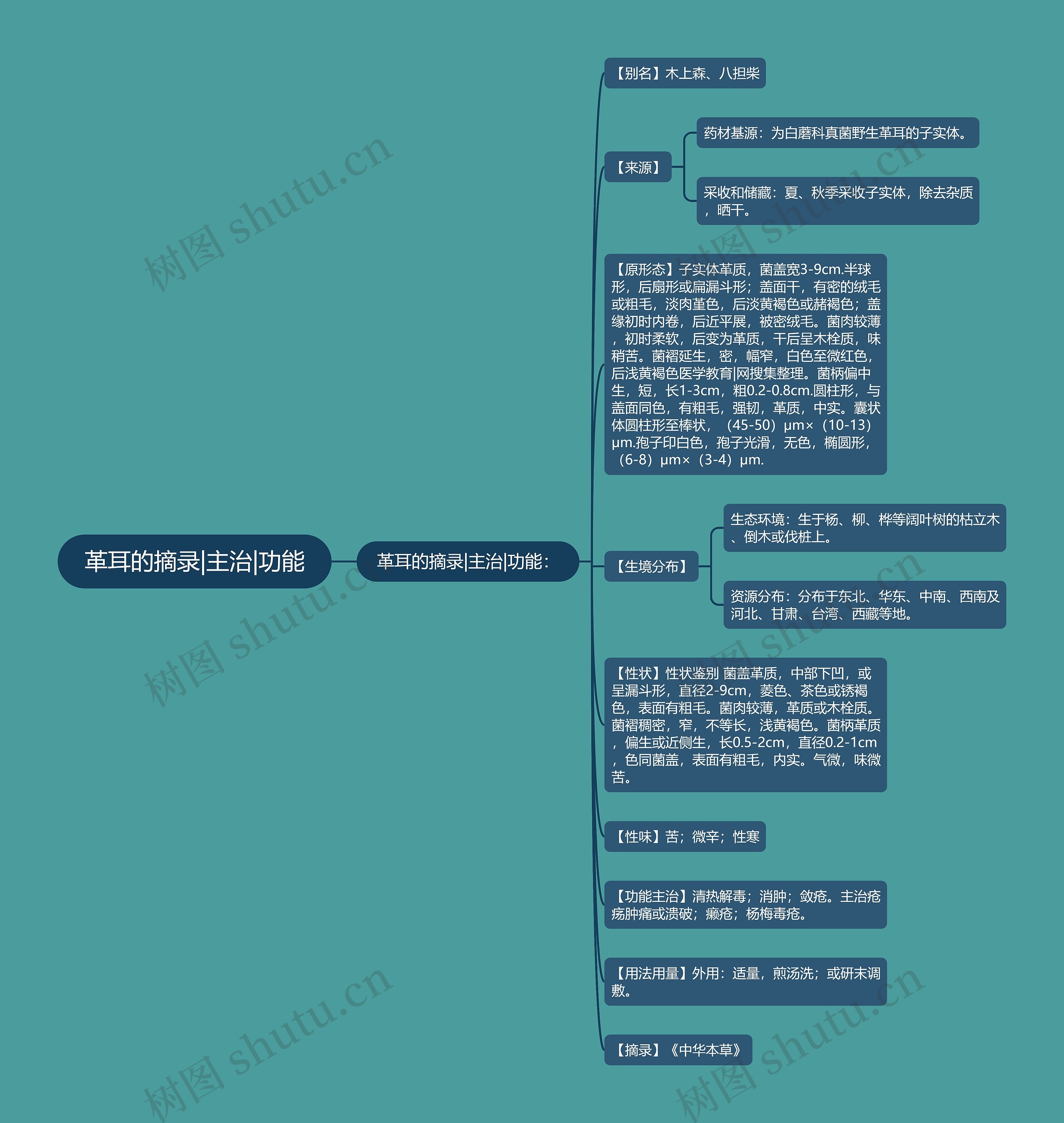 革耳的摘录|主治|功能思维导图