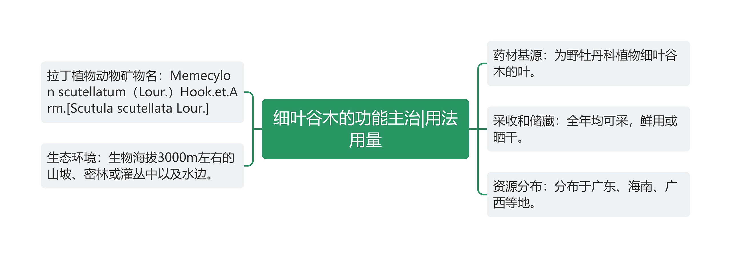 细叶谷木的功能主治|用法用量