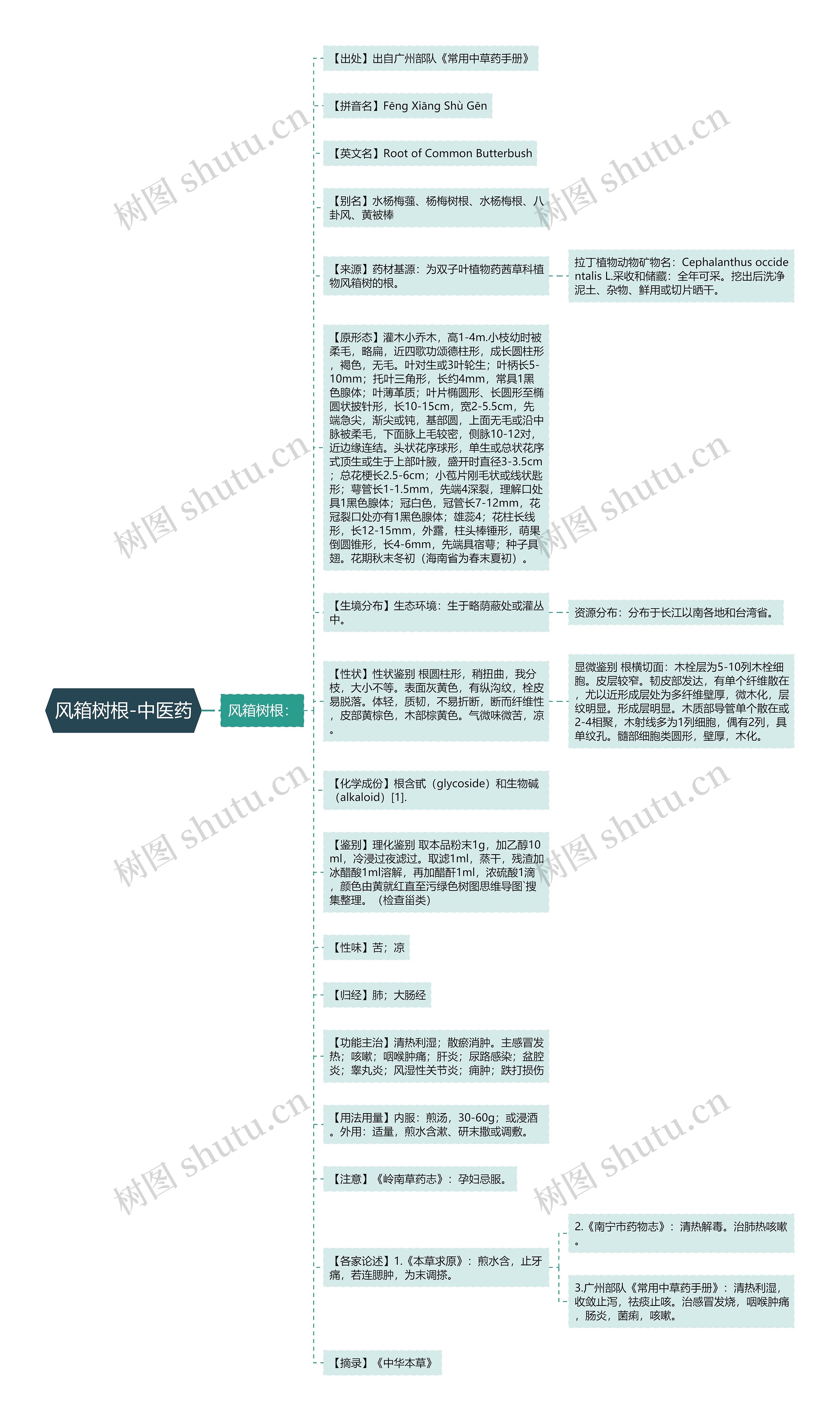 风箱树根-中医药思维导图