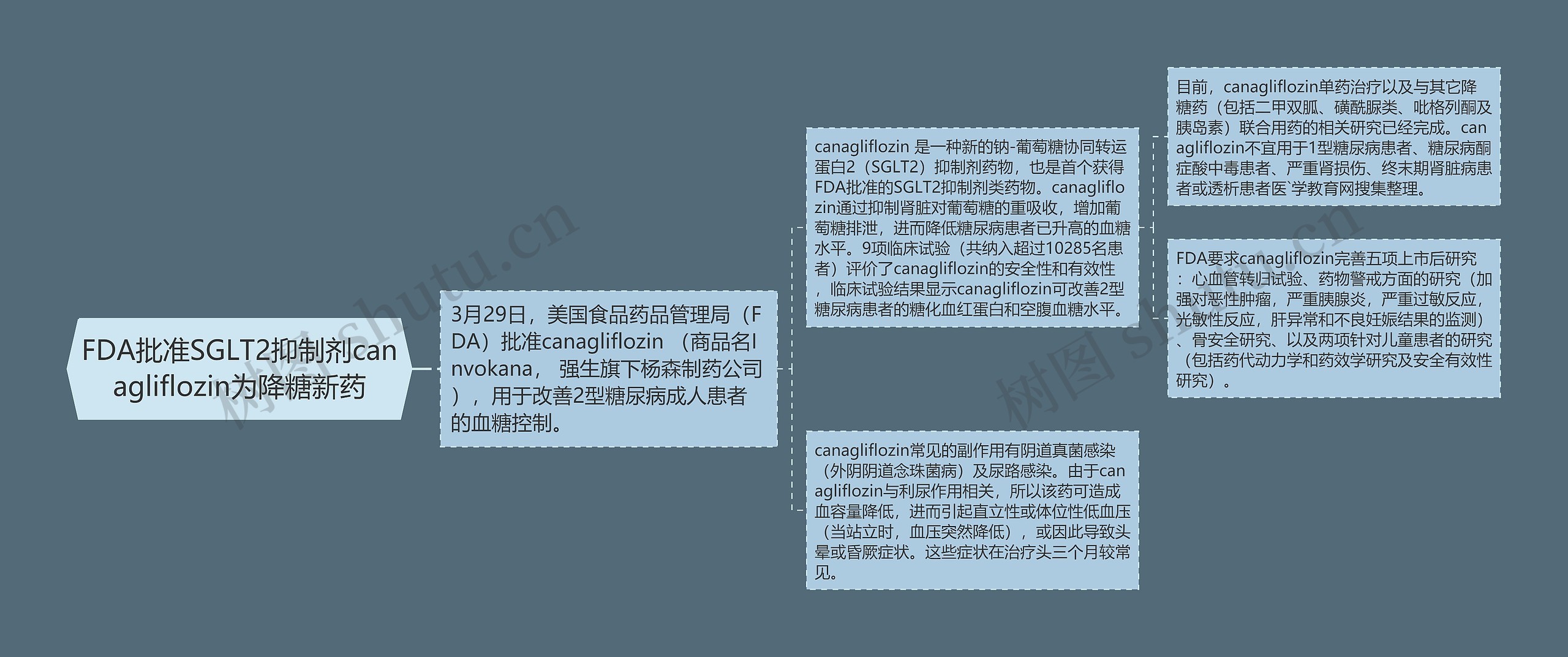 FDA批准SGLT2抑制剂canagliflozin为降糖新药思维导图