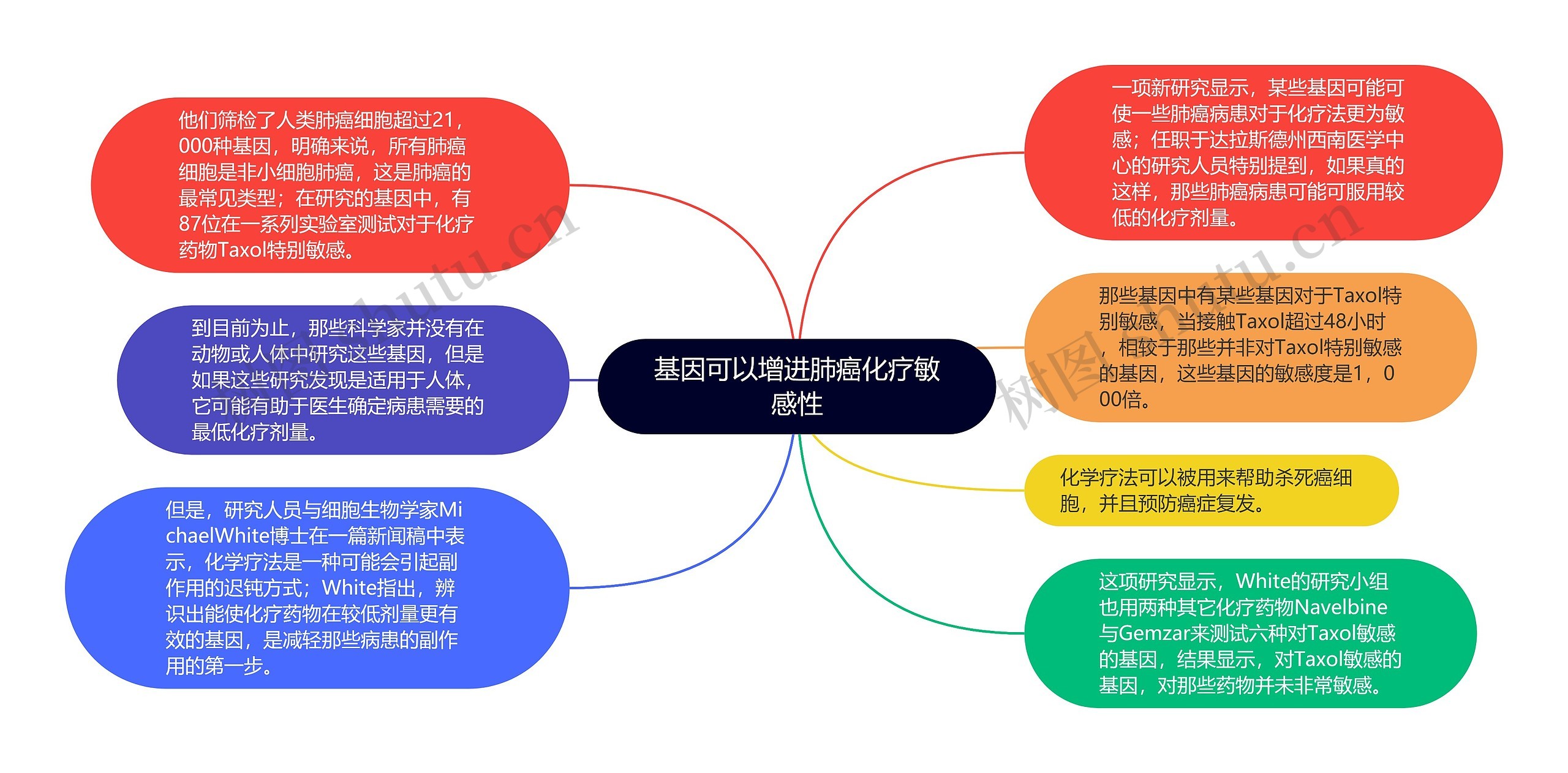 基因可以增进肺癌化疗敏感性思维导图