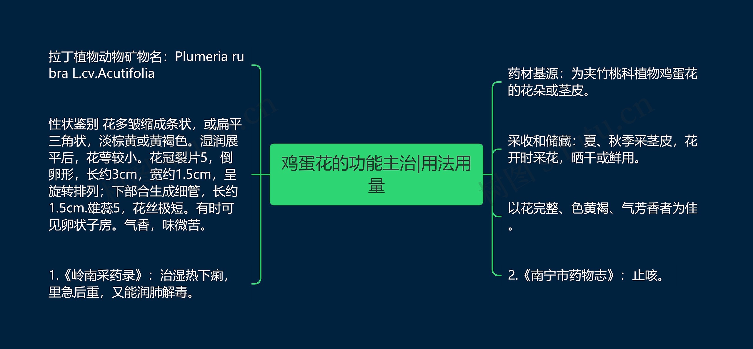 鸡蛋花的功能主治|用法用量思维导图