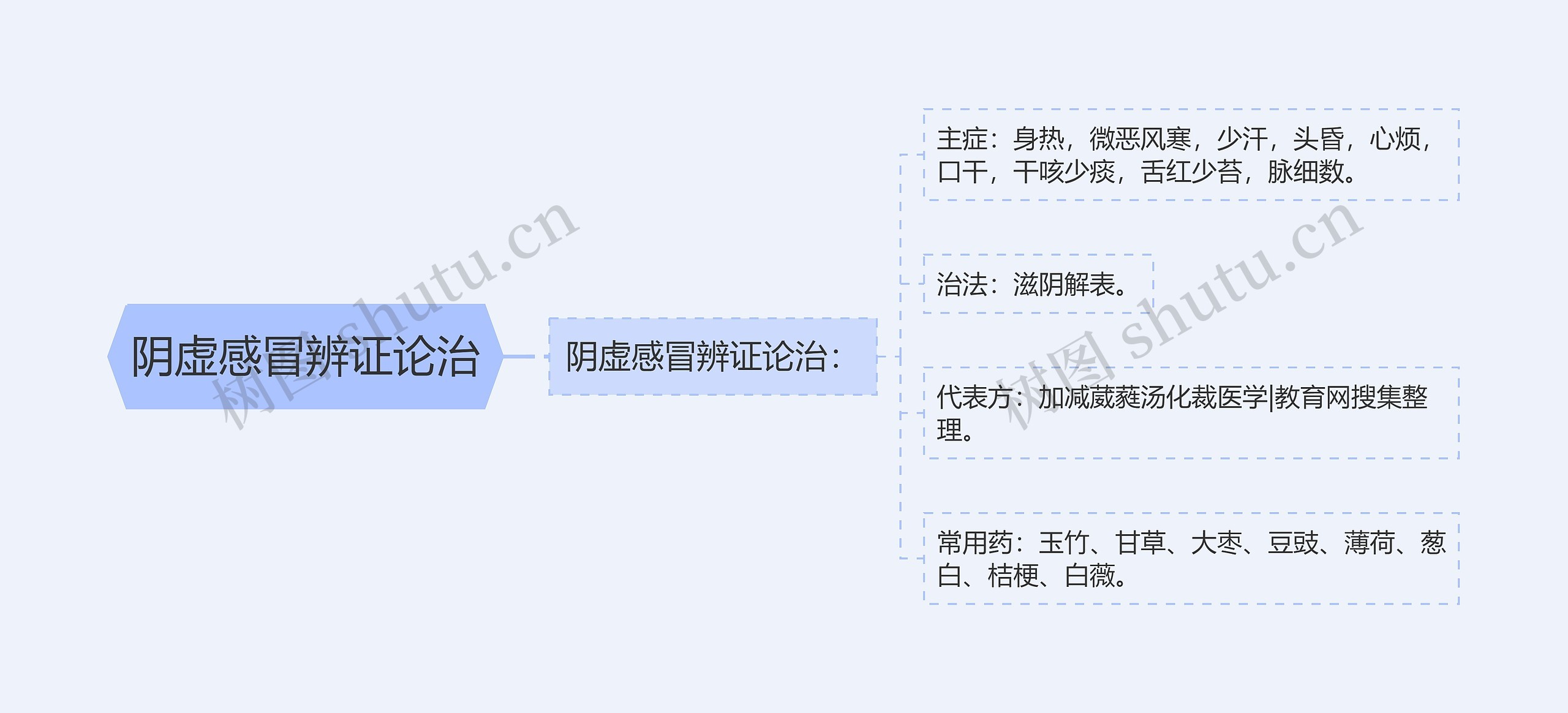 阴虚感冒辨证论治思维导图
