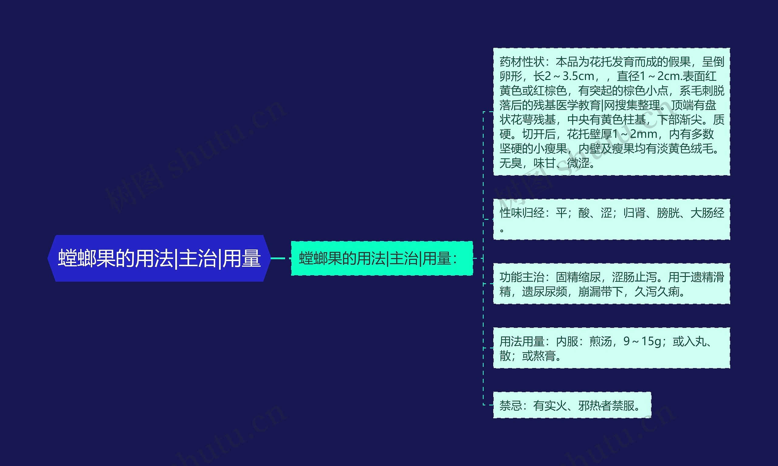 螳螂果的用法|主治|用量思维导图